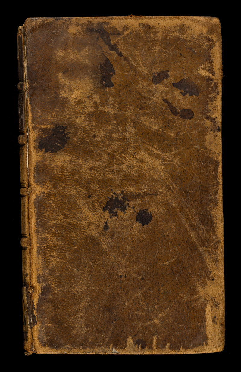 No text description is available for this image