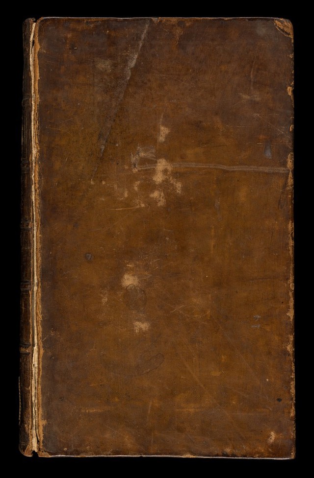 No text description is available for this image