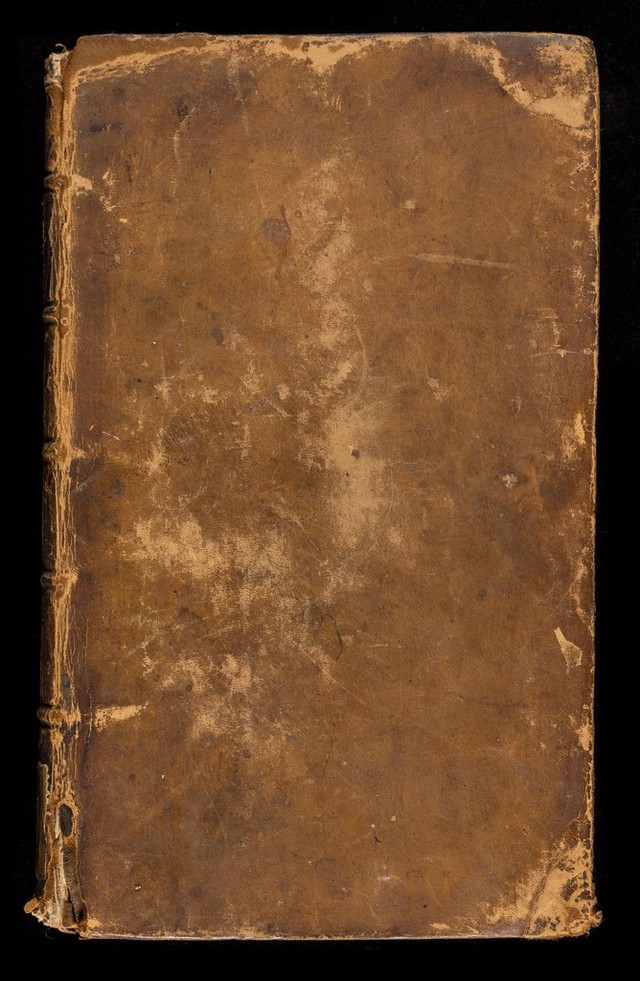 No text description is available for this image