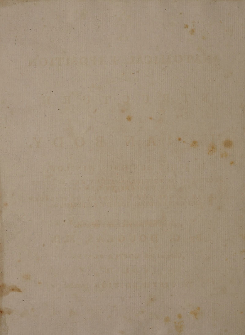 ee eet, east chaos Skee me bal a a SH DT Tae Pile ¢ ey CRE, 2h, eee TN EE pap Ane hice. tire pee geen, TS se D - * Sara EN FY à &gt; PORTER fe =~ 7a ee LP Sor i. on ve ZX ae a TP