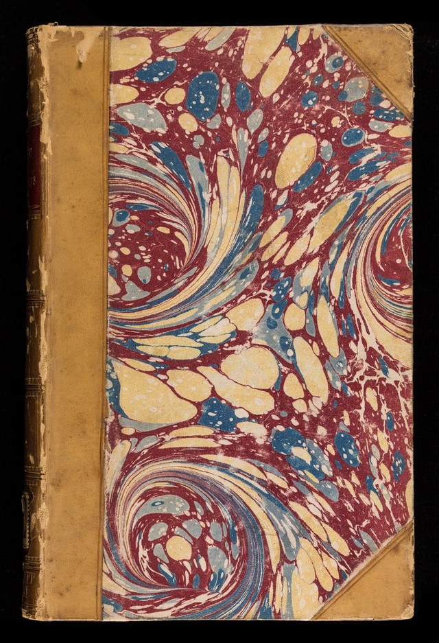 No text description is available for this image