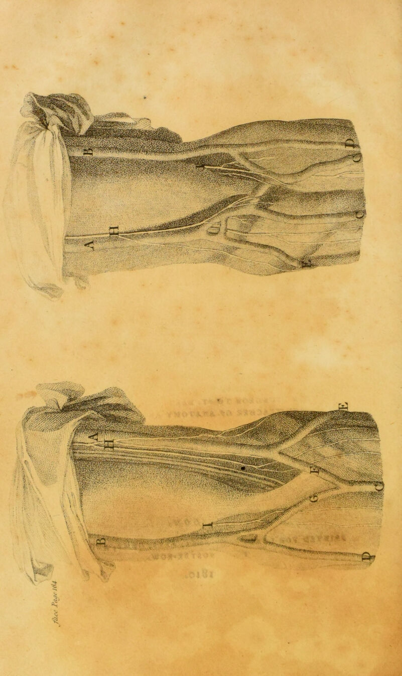 s $ •it ft :.•' *ti&