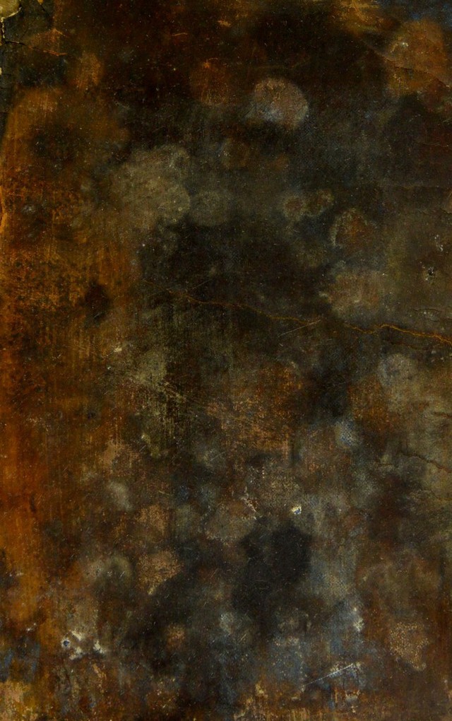 digitised image 1