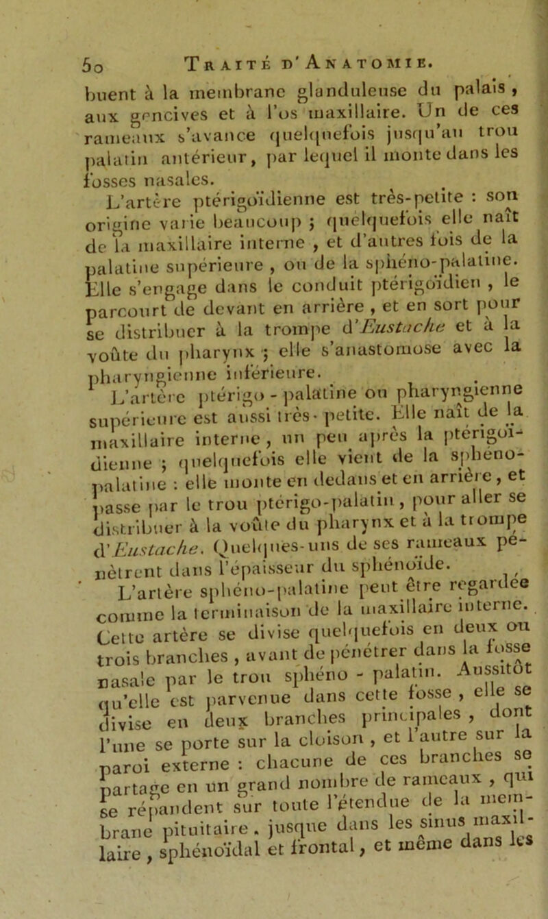 huent à la membrane glanduleuse du palais , aux gencives et à l’os maxillaire. Un de ces rameaux s’avance quelquefois jusqu’au trou palatin antérieur, par lequel il monte dans les fosses nasales. L’artère ptérigoïdienne est très-petite : son origine varie beaucoup ; quelquefois elle naît de la maxillaire interne , et d’autres lois de la palatine supérieure , ou de la spiiéno-palatine. Elle s’engage dans le conduit ptérigoïdien , le parcourt de devant en arrière , et en sort pour se distribuer à la trompe d'Eustache et a la voûte du pharynx ; elle s’anastomose avec la pharyngienne inférieure. L’artère ptérigo - palatine ou pharyngienne supérieure est aussi très - petite. Lite naît de la maxillaire interne , un peu après la pterigoi- dienne ; quelquefois elle vient de la spheno- palatine : elle monte en dedans et en arrière , et tasse par le trou ptérigo-palatin , pour aller se distribuer à la voûte du pharynx et a la trompe à' Eus tache. Quelques-uns de ses rameaux pé- nètrent dans l’épaisseur du sphénoïde. , L’artère sphéno-palatine peut être regardée comme la terminaison de la maxillaire interne. Cette artère se divise quelquefois en deux ou trois branches , avant de pénétrer dans la fosse nasale par le trou sphéno - palatin. Aussitôt ou’elle est parvenue dans cette fosse , elle se divise en deux branches principales , dont l’une se porte sur la cloison , et 1 autre sur a paroi externe : chacune de ces branches se partage en un grand nombre de rameaux , qui Je répandent sur toute l’étendue de la mem- brane pituitaire, jusque dans les smus uiax» - laire , sphénoïdal et frontal, et meme dans les