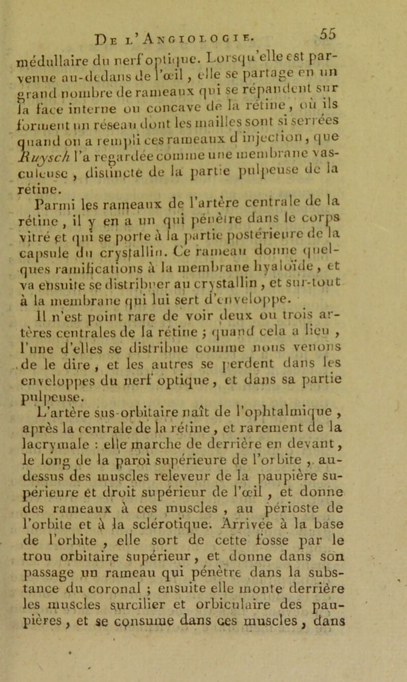 médullaire du nerf optique. Lorsqu elle est par- venue au-dedans de l’ail , elle se partage en un grand nombre de rameaux qui se répandent sur la face interne ou concave de la rétine, ou ils forment un réseau dont les mailles sont si sci i t’es quand on a rempli ces rameaux d injection , que Ruysch l’a regardée comme une membrane \ as- cukuse , distincte de la partie pulpeuse de la rétine. Parmi les rameaux de l’artere centrale de la rétine , il y en a un qui pénétré dans le corps vitré pt qui se porte à la partie postérieure de la capsule du crysfallin. Ce rameau donne quel- ques ramifications à la membrane liyalofde , et va ensuite se distribuer au crystallin , et sur-tout à la membrane qui lui sert d’enveloppe. Il n’est point rare de voir deux ou trois ar- tères centrales de la rétine ; quand cela a lieu , l’une d’elles se distribue comme nous venons de le dire, et les autres se perdent dans les enveloppes du nerf optique, et dans sa partie puljicuse. L’artère sus-orbitaire naît de l’ophtalmique , après la centrale de la rétine , et rarement de la lacrymale : elle marche de derrière en devant, le long de la paroi supérieure de l’orbite , au- dessus des muscles releveur de la paupière su- périeure et droit supérieur de l’ail , et donne des rameaux à ces muscles , au périoste de l’orbite et à la sclérotique. Arrivée à la base de l’orbite , elle sort de cette fosse par le trou orbitaire supérieur, et donne dans son passage un rameau qui pénètre dans la subs- tance du coronal ; ensuite elle monte derrière les muscles s.urcilier et orbiculuire des pau- pières , et se cçnsume dans ces muscles, dans