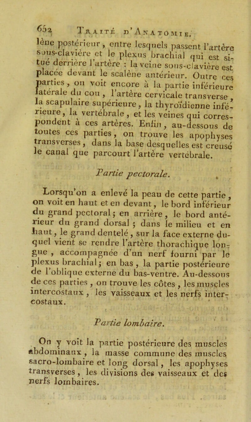 lèue postérieur , entre lesquels passent l’artère sous-clavière et le plexus brachial qui est si- tue derrière l’urtère : lu veine sous-clavière est placée devant le scalène antérieur. Outre ces parties , on voit encore à la partie inférieure latérale du cou , l’artère cervicale transverse la scapulaire supérieure, la thyroïdienne infe- rieure, la vertébrale , et les veines qui corres- pondent à ces artères. Enfin , au-dessous de toutes ces parties, on trouve les apophyses transverses, dans la base desquelles est creusé Je canal que parcourt l’artère vertébrale. Partie pectorale. Lorsqu on a enlevé la peau de cette partie, on voit en haut et en devant, le bord inferieur du grand pectoral -, en arrière, le bord anté- rieur du grand dorsal 5 dans le milieu et en liant, le grand dentelé , sur la face externe du- quel vient se rendre l’artère thorachique Ion-? £ue > accompagnée d’un nerf fourni par le plexus brachial ; en bas , la partie postérieure de 1 oblique externe du bas-ventre. Au-dessous de ces parties , on trouve les côtes , les muscles intercostaux , les vaisseaux et les nerfs inter-: costaux. Partie lombaire. On y voit la partie postérieure des muscles abdominaux , la masse commune des muscles sacro-lombaire et long dorsal, les apophyses transverses, les divisions des vaisseaux et des nerfs lombaires.