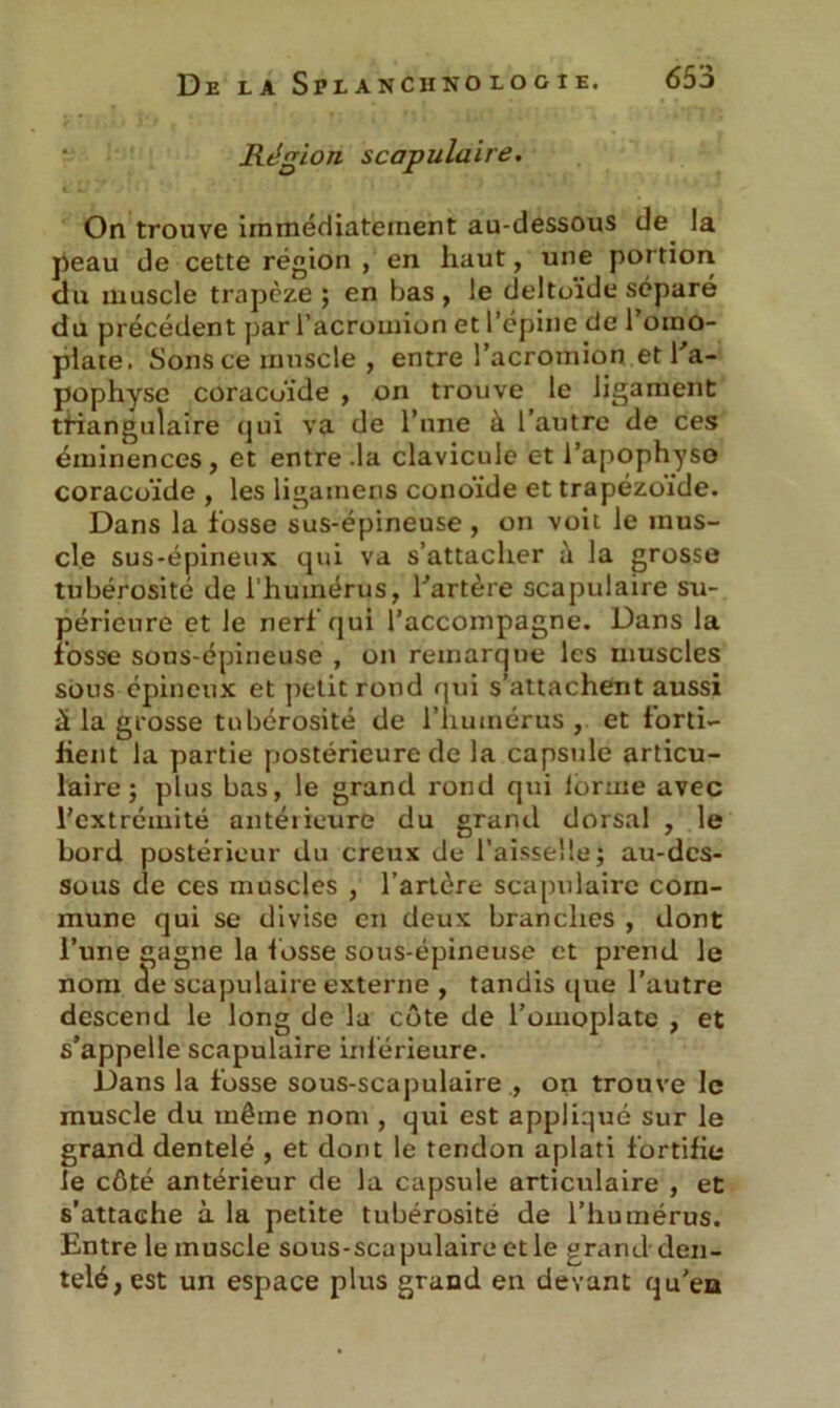 Région scapulaire. On trouve immédiatement au-dessous de la peau de cette région , en haut, une portion du muscle trapèze ; en bas , le deltoïde séparé du précédent par l’acromion et l’cpine de 1 omo- plate. Sons ce muscle , entre l’acromion et l'a- pophyse coracoïde , on trouve le ligament triangulaire qui va de l’une à l’autre de ces éminences, et entre .la clavicule et l'apophyse coracoïde , les ligamens conoïde et trapézoide. Dans la fosse sus-épineuse , on voit le mus- cle sus-épineux qui va s’attacher à la grosse tubérosité de l’humérus, l'artère scapulaire su- périeure et le nerf qui l’accompagne. Dans la fosse sous-épineuse , on remarque les muscles sous épineux et petit rond qui s’attachent aussi à la grosse tubérosité de l’humérus, et forti- fient la partie postérieure de la capsule articu- laire; plus bas, le grand rond qui loraie avec l’extrémité antérieure du grand dorsal , le bord postérieur du creux de l’aisselle; au-des- sous de ces muscles , l’artère scapulaire com- mune qui se divise en deux branches , dont l’une gagne la fosse sous-épineuse et prend le nom de scapulaire externe , tandis que l’autre descend le long de la côte de l’omoplate , et s’appelle scapulaire inférieure. Dans la fosse sous-scapulaire , on trouve le muscle du même nom , qui est appliqué sur le grand dentelé , et dont le tendon aplati fortifie le côté antérieur de la capsule articulaire , et s'attache à la petite tubérosité de l’humérus. Entre le muscle sous-scapulaire et le grand den- telé, est un espace plus grand en devant qu’ea