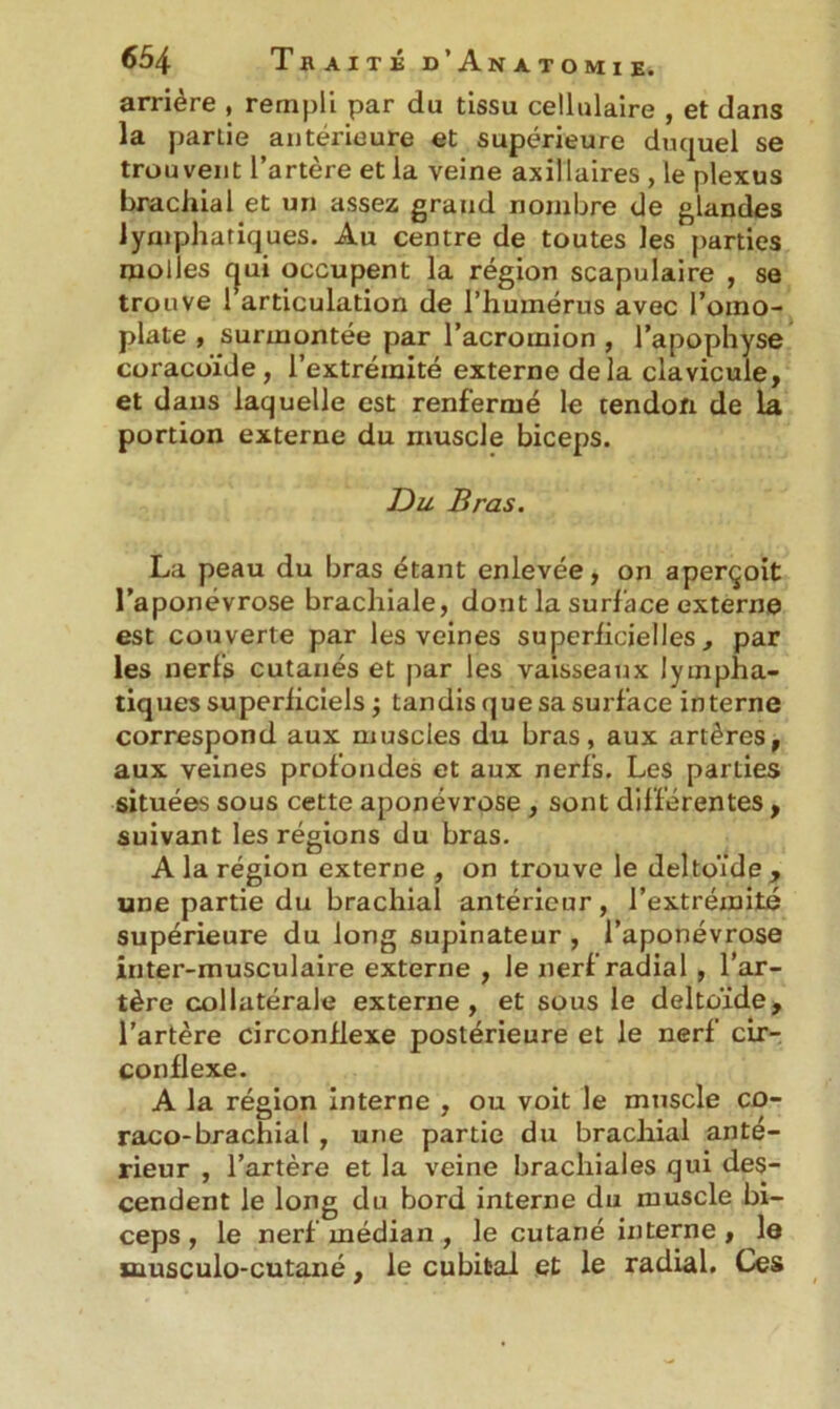 arrière , rempli par du tissu cellulaire , et dans la partie antérieure et supérieure duquel se trouvent l’artère et la veine axillaires , le plexus brachial et un assez grand nombre de glandes lymphatiques. Au centre de toutes les parties molles cjui occupent la région scapulaire , se trouve 1 articulation de l’humérus avec l'omo- plate , surmontée par l’acromion , l’apophyse coracoïde, l’extrémité externe delà clavicule, et dans laquelle est renfermé le tendon de la portion externe du muscle biceps. Du Bras. La peau du bras étant enlevée, on aperçoit l’aponévrose brachiale, dont la surface externe est couverte par les veines superficielles, par les nerfs cutanés et par les vaisseaux lympha- tiques superficiels j tandis que sa surface interne correspond aux muscles du bras, aux artères, aux veines profondes et aux nerfs. Les parties situées sous cette aponévrose , sont différentes, suivant les régions du bras. A la région externe , on trouve le deltoïde, une partie du brachial antérieur, l’extrémité supérieure du long supinateur , l’aponévrose inter-musculaire externe , le nerf radial , l’ar- tère collatérale externe, et sous le deltoïde, l’artère circonflexe postérieure et le nerf cir- conflexe. A la région interne , ou voit le muscle co- raco-brachiat , une partie du brachial anté- rieur , l’artère et la veine brachiales qui des- cendent le long du bord interne du muscle bi- ceps , le nerf médian , le cutané interne , la musculo-cutané, le cubital et le radial. Ces
