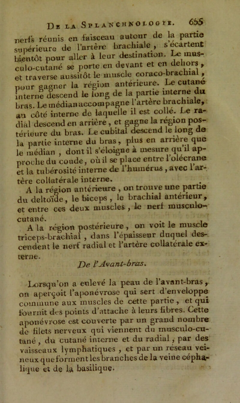 De la SpLAXCHKOioon. 6t>5 nerfs réunis en faisceau autour de la partie supérieure de l’artère brachiale , s ecartent bientôt pour aller à leur destination. I>e mus- culo-cutané se porte en devant et en dehors , et traverse aussitôt le muscle coraco-brachial , pour gagner la région antérieure. Le cutané interne descend le long de la partie interne du bras. Le médian accompagne l’artère brachiale, au côté interne de laquelle il est colle. Le ra- dial descend en arrière , et gagne la région pos- térieure du bras. Le cubital descend le long de la partie interne du bras, plus en arriéré que le médian , dont il s’éloigne à mesure qu il ap- proche du coude, où il se place entre 1 olecrane et la tubérosité interne de 1 humérus , avec 1 ar- tère collatérale interne. A la région antérieure , on trouve une partie du deltoïde, le biceps , le brachial antérieur, et entre ces deux muscles , le nerf musculo- cutané. . , A la région postérieure , on voit le muscle triceps-brachial , dans l’épaisseur duquel des- cendent le nerf radial et l’artère collatérale ex- terne. De l’Avant-bras. Lorsqu’on a euleve la peau de 1 avant-bras, on aperçoit l’aponévrose qui sert d enveloppe commune aux muscles de cette partie , et qui fournit des points d’attache à leurs fibres. Cette aponévrose est couverte par un grand nombre de filets nerveux qui viennent du musculo-cu- tané , du cutané interne et du radial, par des vaisseaux lymphatiques , et par un réseau vei- neux que forment les branches de la veine cépha- lique et de U basilique.