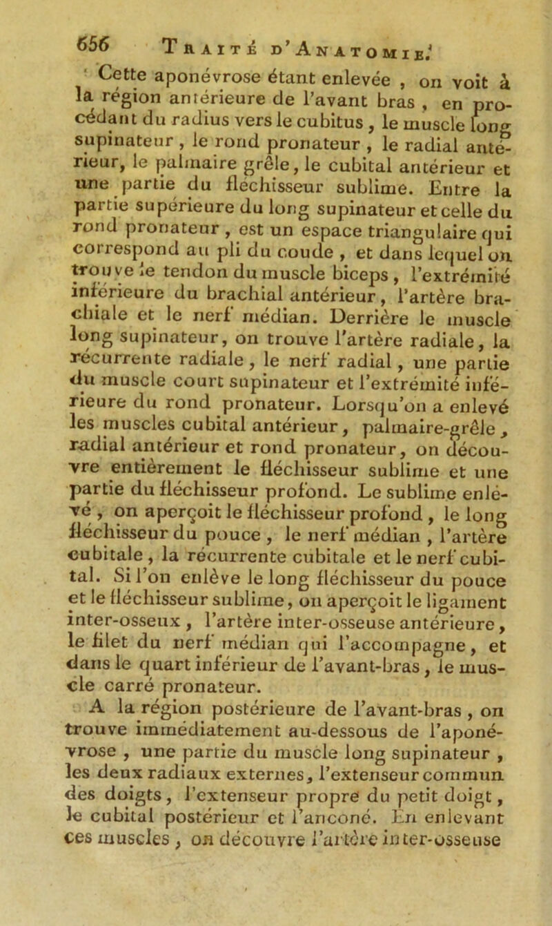 Cette aponévrose étant enlevée , on voit à la région antérieure de l’avant bras , en pro- cédant du radius vers le cubitus , le muscle Ion supinateur , le rond pronateur , le radial anté- rieur, le palmaire grêle, le cubital antérieur et une partie du fléchisseur sublime. Entre la partie supérieure du long supinateur et celle du rond pronateur , est un espace triangulaire qui correspond au pli du coude , et dans lequel on trouve ie tendon du muscle biceps, l’extrémité inferieure du brachial antérieur, l’artère bra- chiale et le nerf médian. Derrière le muscle long supinateur, on trouve l'artère radiale, la récurrente radiale, le nerf radial, une partie du muscle court supinateur et l’extrémité infe- rieure du rond pronateur. Lorsqu’on a enlevé les muscles cubital antérieur, pahnaire-grêle , radial antérieur et rond pronateur, on décou- vre entièrement le fléchisseur sublime et une partie du fléchisseur profond. Le sublime enle- vé , on aperçoit le fléchisseur profond , le long fléchisseur du pouce , le nerf médian , l’artère cubitale, la récurrente cubitale et le nerf cubi- tal. Si l’on enlève le long fléchisseur du pouce et le fléchisseur sublime, on aperçoit le ligament inter-osseux , l’artère inter-osseuse antérieure, le filet du nerf médian qui l’accompagne, et dans le quart inférieur de l’avant-bras, ie mus- cle carré pronateur. A la région postérieure de l’avant-bras , on trouve immédiatement au-dessous de l’aponé- vrose , une partie du muscle long supinateur , les deux radiaux externes, l’extenseur commun des doigts, l’extenseur propre du petit doigt, le cubital postérieur et i’ariconé. En enlevant ces muscles , on découvre l’artère inter-osseuse