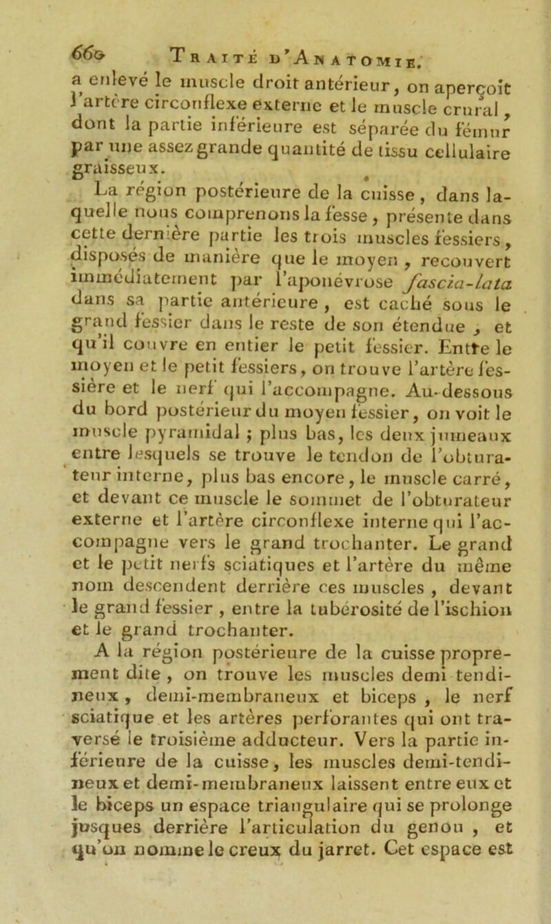 a enlevé le muscle clroir antérieur, on aperçoit 3'artère circonflexe externe et le muscle crural, dont la partie inférieure est séparée du fémur par une assez grande quantité de tissu cellulaire graisseux. La région postérieure de la cuisse , dans la- quelle nous comprenons la fesse, présente dans cette dern ere partie les trois muscles fessiers , disposés de manière que le moyen , recouvert immédiatement par l’aponévrose fascia-lata dans sa partie antérieure , est caché sous le grand fessier dans le reste de son étendue , et qu’il couvre en entier le petit fessier. Entte le moyen et le petit fessiers, ori trouve l’artèrefes- sière et le nerf qui l’accompagne. Au-dessous du bord postérieur du moyen fessier, on voit le muscle pyramidal ; plus bas, les deux jumeaux entre lesquels se trouve le tendon de l’obtura- teur interne, plus bas encore, le muscle carré, et devant ce muscle le sommet de l’obturateur externe et l’artère circonflexe interne qui l’ac- compagne vers le grand trochanter. Legrand et le petit nerfs sciatiques et l’artère du même nom descendent derrière ces muscles , devant le grand fessier , entre la tubérosité de l’ischion et le grand trochanter. A la région postérieure de la cuisse propre- ment dite , on trouve les muscles demi tendi- neux , demi-membraneux et biceps , le nerf sciatique et les artères perforantes qui ont tra- versé le troisième adducteur. Vers la partie in- férieure de la cuisse, les muscles demi-tendi- neux et demi-membraneux laissent entre eux et le biceps un espace triangulaire qui se prolonge jusques derrière l’articulation du genon , et qu’on nomme le creux du jarret. Cet espace est