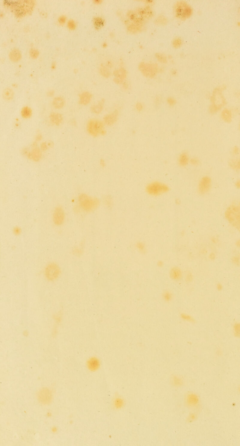 •• w €. ; « » « # « # 'k i) ■|,V * > 1/ '■-* * v->-' f • « s ♦ # #