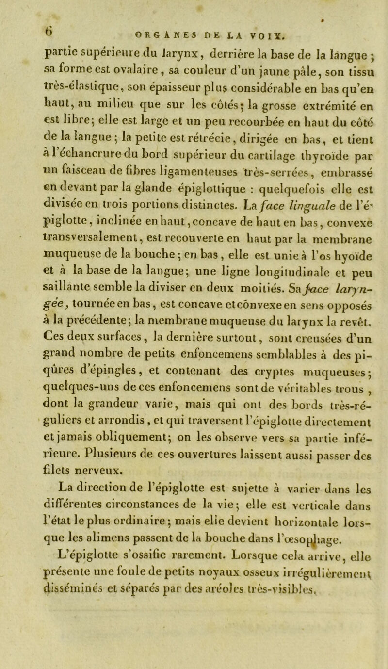 ° ORGiKES DE IA VOIX, partie supérieure du iarynx, derrière la base de la langue ; sa forme est ovalaire , sa couleur d’un jaune pâle, son tissu très-élastique, son épaisseur plus considérable en bas qu’en haut, au milieu que sur les côtés} la grosse extrémité en est libre; elle est large et un peu recourbée en haut du côté de la langue : la petite est rétrécie, dirigée en bas, et tient à 1 échancrure du bord supérieur du cartilage thyroïde par un laisceau de fibres ligamenteuses très-serrées, embrassé en devant par la glande épiglotlique : quelquefois elle est divisée en trois portions distinctes. La face linguale de l’é* piglotte, inclinée en haut,concave de liant en bas, convexe transversalement, est recouverte en haut par la membrane muqueuse de la bouche ; en bas , elle est unie à l’os hyoïde et à la base de la langue; une ligne longitudinale et peu saillante semble la diviser en deux moitiés. Sa face laryn- gée, tournée en bas, est concave etcônvexeen sens opposés à la précédente; la membrane muqueuse du larynx la revêt. Ces deux surfaces , la dernière surtout, sont creusées d’un grand nombre de petits enfoncemens semblables à des pi- qûres d épingles, et contenant des cryptes muqueuses; quelques-uns de ces enfoncemens sont de véritables trous , dont la grandeur varie, mais qui ont des bords très-ré- guliers et arrondis , et qui traversent l’épiglotte directement et jamais obliquement; on les observe vers sa partie infé- rieure. Plusieurs de ces ouvertures laissent aussi passer des filets nerveux. La direction de l’épiglotte est sujette à varier dans les différentes circonstances de la vie; elle est verticale dans l’état le plus ordinaire; mais elle devient horizontale lors- que les alimens passent de la bouche dans l’œsopjiage. L’épiglotte s'ossifie rarement. Lorsque cela arrive, elle présente une foule de petits noyaux osseux irrégulièrement disséminés et séparés par des aréoles très-visibles.