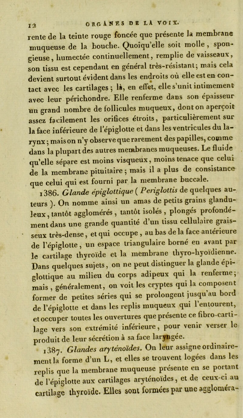 rente de la teinte rouge foncée que présente la membrane muqueuse de la bouche. Quoiqu’elle soit molle, spon- gieuse, humectée continuellement, remplie de vaisseaux, son tissu est cependant en général très-résistant; mais cela devient surtout évident dans les endroits où elle est en con- tact avec les cartilages ; là, en effet, elle s’unit intimement avec leur périchondre. Elle renferme dans son épaisseur un grand nombre de follicules muqueux, dont on aperçoit assez facilement les orifices étroits, particulièrement sur la face inférieure de l’épiglotte et dans les ventricules du la- rynx ; mais on n’y observe que rarement des papilles, comme dans la plupart des autres membranes muqueuses. Le fluide quelle sépare est moins visqueux, moins tenace que celui de la membrane pituitaire ; mais il a plus de consistance que celui qui est fourni par la membrane buccale. i386. Glande épiglottique ( Pcrigloltis de quelques au- teurs ). On nomme ainsi un amas de petits grains glandu- leux, tantôt agglomérés , tantôt isolés , plongés profondé- ment dans une grande quantité d’un tissu cellulaire grais- seux très-dense, et qui occupe , au bas de la face antérieure de l’épiglotte, un espace triangulaire borné en avant par le cartilage thyroïde et la membrane thyro-hyoïdienne. Dans quelques sujets, on ne peut distinguer la glande épi- glottique au milieu du corps adipeux qui la renferme; mais , généralement, on voit les cryptes qui la composent former de petites séries qui se prolongent jusqu au boni de l’épiglotte et dans les replis muqueux qui 1 entourent, et occuper toutes les ouvertures que présente ce fibro-carti- lage vers son extrémité inférieure, pour venir verser le produit de leur sécrétion à sa face laryngée. ,3g7. Glandes aryténoïdes. On leur assigne ordinaire- ment la forme d’un L, et elles se trouvent logées dans les replis que la membrane muqueuse présente en se portant de l’épiglotte aux cartilages aryténoïdes, et de ceux-ci au cartilage thyroïde. Elles sont formées par une aggloméra-