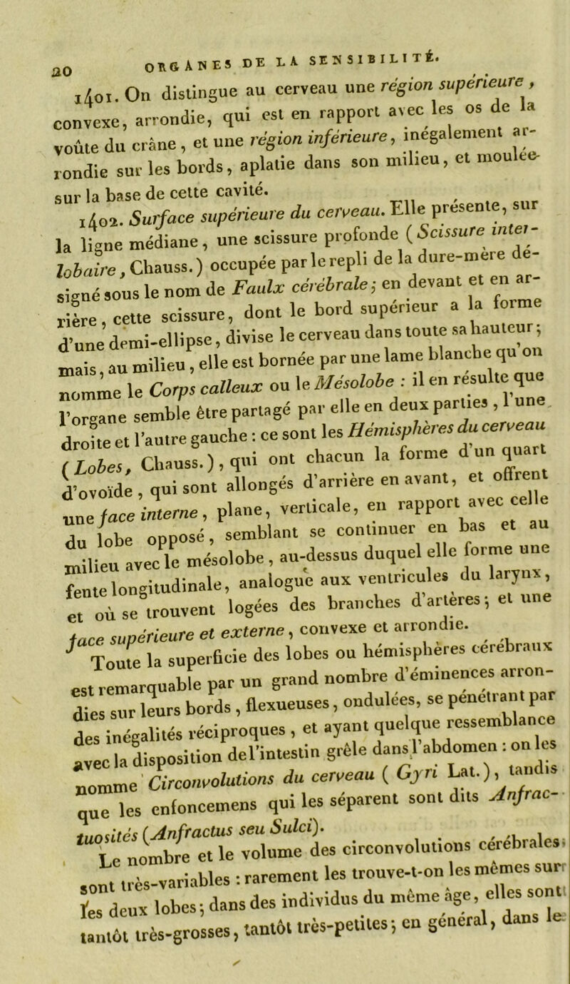 ao i4oi.On distingue au cerveau une région supérieure , convexe, arrondie, qui est en rapport avec les os de 1» voûte du crâne, et une région inférieure, inégalement ar- rondie sur les bords, aplatie dans son milieu, et mou ce- sur la base de cette cavité. ,402. Surface supérieure du cerceau. Elle présente, sur la ligne médiane, une scissure profonde (Scissure inter- lobaire .CUnss.) occupée par le repli de la dure-mere e- sj<rné sous le nom de Fuulx cérébrale ; en devant et en ar rite, cette scissure, dont le bord supérieur a la forme d’une demi-ellipse, divise le cerveau dans toute sa hauteur, mais, au milieu, elle est bornée par une lame blanche qu on nomme le Corps calleux ou le Mésolobe : .1 en résulté que J-organe semble être partagé par elle en deux parties , 1 une droite et l’autre gauche : ce sont les Héniisph,très du~ (Lobes, Chauss.), qui ont chacun la forme d un qnar d’ovoïde , qui sont allongés d’arrière en avant, et offrent une face interne, plane, verticale, eu rapport avec cel e du lobe opposé, semblant se continuer en bas et au milieu avec le mésolobe, au-dessus duquel elle forme une fente longitudinale, analogue aux ventricules du larynx, et où se trouvent logées des branches d artères; et u face supérieure et externe, convexe et arrondie. f route la superficie des lobes ou hémisphères cérébraux est remarquable par un grand nombre d’éminences arron- dies sur leurs bords , flexueuses, ondulées, se pénétrant par des inégalités réciproques , e. ayant quelque ressemblance Le la disposition del’intestin grêle dans) abdomen : on ks nomme Circonvolutions du cerveau ( Gyr, Lat.), la.ic “ÛTles cnfonceuiens qui les séparent sont dns Anjrac- ■t,—*T .ont très-variables : rarement les trouve-t-on les memes sur, fes deux lobes; dans des individus du même âge, elles sont tantôt très-grosses, tantôt très-petites; on général, dans