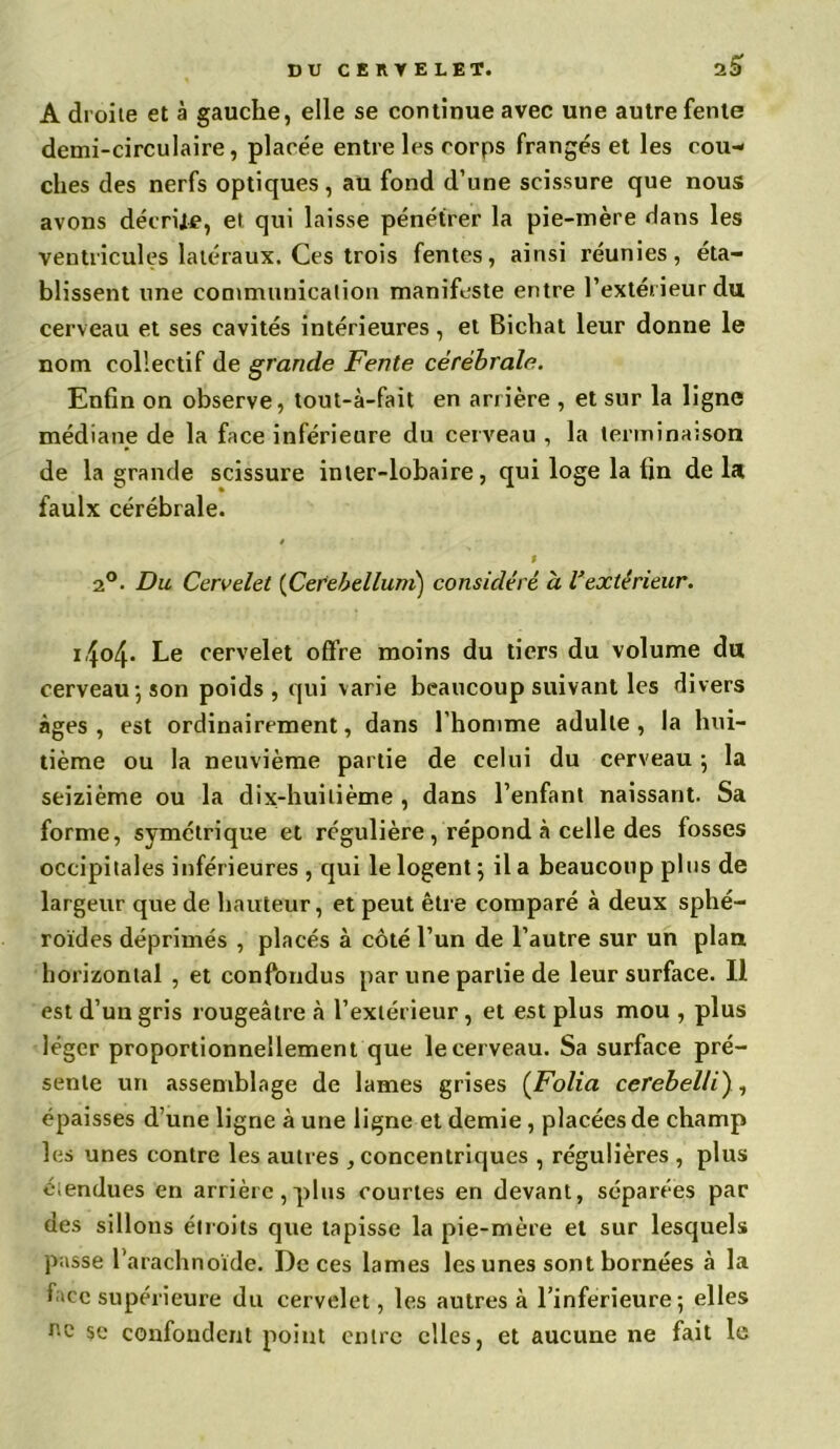 2& A droite et à gauche, elle se continue avec une autre fente demi-circulaire, placée entre les corps frangés et les cou- ches des nerfs optiques, au fond d’une scissure que nous avons décrire, et qui laisse pénétrer la pie-mère dans les ventricules latéraux. Ces trois fentes, ainsi réunies, éta- blissent une communication manifeste entre l’extérieur du cerveau et ses cavités intérieures, et Bichat leur donne le nom collectif de grande Fente cérébrale. Enfin on observe, tout-à-fait en arrière , et sur la ligne médiane de la face inférieure du cerveau , la terminaison de la grande scissure inter-lobaire, qui loge la fin delà faulx cérébrale. 9 t 2°. Du Cervelet (Cerehelluni) considéré à Vextérieur. i4o4- Le cervelet offre moins du tiers du volume du cerveau; son poids, qui varie beaucoup suivant les divers âges, est ordinairement, dans l'homme adulte, la hui- tième ou la neuvième partie de celui du cerveau ; la seizième ou la dix-huitième , dans l’enfant naissant. Sa forme, symétrique et régulière , répond à celle des fosses occipitales inférieures , qui le logent ; il a beaucoup plus de largeur que de hauteur, et peut être comparé à deux sphé- roïdes déprimés , placés à côté l’un de l’autre sur un plan horizontal , et confondus par une partie de leur surface. Il est d’un gris rougeâtre à l’extérieur , et est plus mou , plus léger proportionnellement que le cerveau. Sa surface pré- sente un assemblage de lames grises (Folia cerebelli), épaisses d’une ligne à une ligne et demie , placées de champ les unes contre les autres , concentriques , régulières , plus étendues en arrière,plus courtes en devant, séparées par des sillons étroits que tapisse la pie-mère et sur lesquels passe l’arachnoïde. De ces lames les unes sont bornées à la face supérieure du cervelet, les autres à l’inferieure; elles se confondent point entre clics, et aucune ne fait le