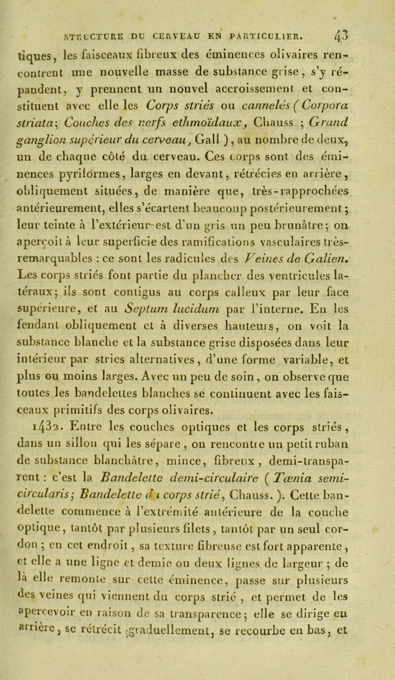 tiques, les faisceaux fibreux des éminences olivaires ren- contrent une nouvelle masse de substance grise, s’y ré- pandent, y prennent un nouvel accroissement et con- stituent avec elle les Corps striés ou cannelés (Corpar a striata; Couches des nerfs ethmoïdaux, Cbauss ; Grand ganglion supérieur du cerveau, Gall ), au nombre de deux, un de chaque côté du cerveau. Ces corps sont des émi- nences pyriformes, larges en devant, rétrécies en arrière, obliquement situées, de manière que, très-rapprochées antérieurement, elles s’écartent beaucoup postérieurement ; leur teinte à l’extérieur-est d’un gris un peu brunâtre; on aperçoit à leur superficie des ramifications vasculaires très- remarquables : ce sont les radicules des Veines de Galien. Les corps striés font partie du plancher des ventricules la- téraux; ils sont contigus au corps calleux par leur face supérieure, et au Septum lucidum par l’interne. En les fendant obliquement et à diverses hauteuis, on voit la substance blanche et la substance grise disposées dans leur intérieur par stries alternatives, d’une forme variable, et plus ou moins larges. Avec un peu de soin , on observe que toutes les bandelettes blanches se continuent avec les fais- ceaux primitifs des corps olivaires. Entre les couches optiques et les corps striés, dans un sillon qui les sépare , on rencontte un petit ruban de substance blanchâtre, mince, fibreux, clemi-lranspa- rent : c’est la Bandelette demi-circulaire ( Tcenia semi- circularisj Bandelette d i corps strié, Cbauss. ). Cette ban- delette commence à l’extrémité antérieure de la couche optique, tantôt par plusieurs filets , tantôt par un seul cor- don ; en cet endroit , sa texture fibreuse est fort apparente, et elle a une ligne et demie ou deux lignes de largeur ; de là elle remonte sur celle éminence, passe sur plusieurs des veines qui viennent du corps strié , et permet de les apercevoir en raison de sa transparence; elle se dirige eu amère, se rétrécit graduellement, se recourbe en bas, et