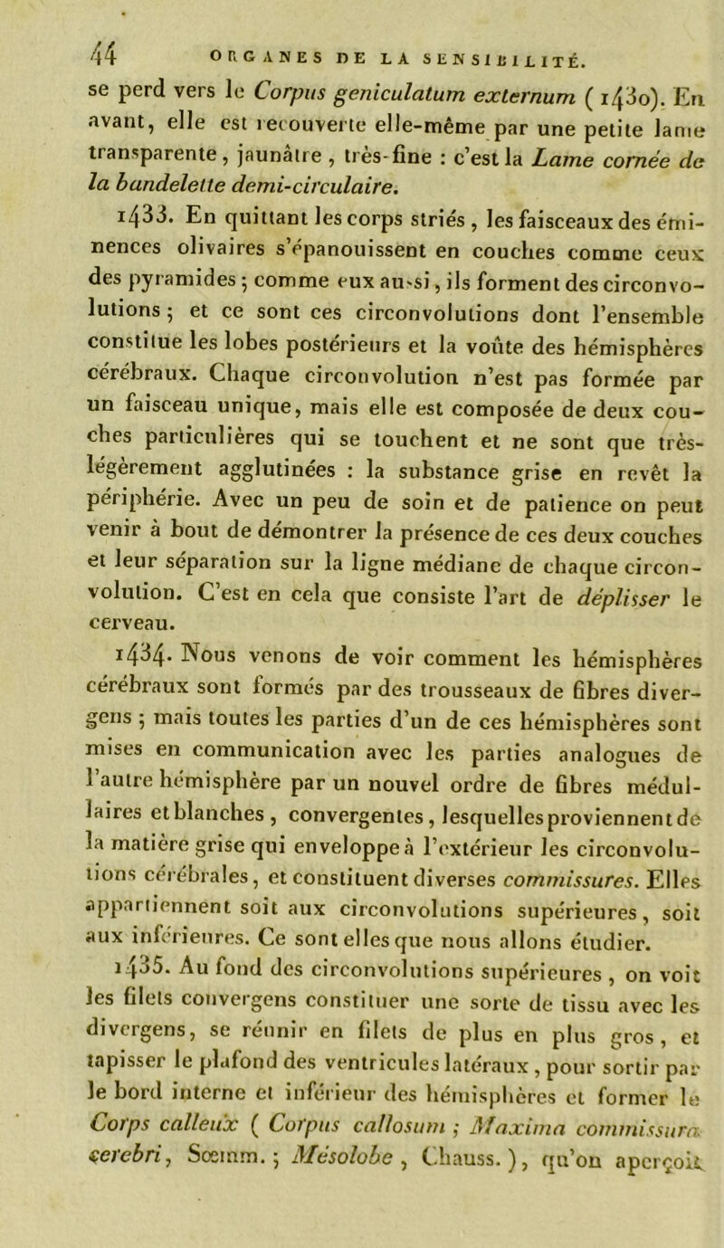 se perd vers le Corpus geniculatum externum ( i43o). En avant, elle est recouverte elle-même par une petite lame transparente, jaunâtre , très-fine : c’est la Lame cornée de la bandelette demi-circulaire. i433. En quittant les corps striés, les faisceaux des émi- nences olivaires s épanouissent en couches comme ceux des pyramides 5 comme eux au>si, ils forment des circonvo- lutions ; et ce sont ces circonvolutions dont l’ensemble constitue les lobes postérieurs et la voûte des hémisphères cérébraux. Chaque circonvolution n’est pas formée par un faisceau unique, mais elle est composée de deux cou- ches particulières qui se touchent et ne sont que très- légèrement agglutinées : la substance grise en revêt la périphérie. Avec un peu de soin et de patience on peut venir à bout de démontrer la présence de ces deux couches et leur séparation sur la ligne médiane de chaque circon- volution. C’est en cela que consiste l’art de déplisser le cerveau. i434* Nous venons de voir comment les hémisphères cérébraux sont formes par des trousseaux de fibres diver- gens ; mais toutes les parties d’un de ces hémisphères sont mises en communication avec les parties analogues de l’autre hémisphère par un nouvel ordre de ûbres médul- laires etblanches, convergentes , lesquelles proviennent de la matière grise qui enveloppe à l’extérieur les circonvolu- tions cérébrales, et constituent diverses comndssures. Elles appartiennent soit aux circonvolutions supérieures, soit aux inférieures. Ce sont elles que nous allons étudier. i p5. Au fond des circonvolutions supérieures , on voit les filets couveigens constituer une sorte de tissu avec les divergens, se réunir en filets de plus en plus gros, et tapisser le plafond des ventricules latéraux , pour sortir par le bord interne et inférieur des hémisphères et former le Cotps calleux ( Corpus callosum ,• Maxima commissure, çcrcbri, Soemm. ; Mésolobe , Chauss. ), qu’on aperçoit