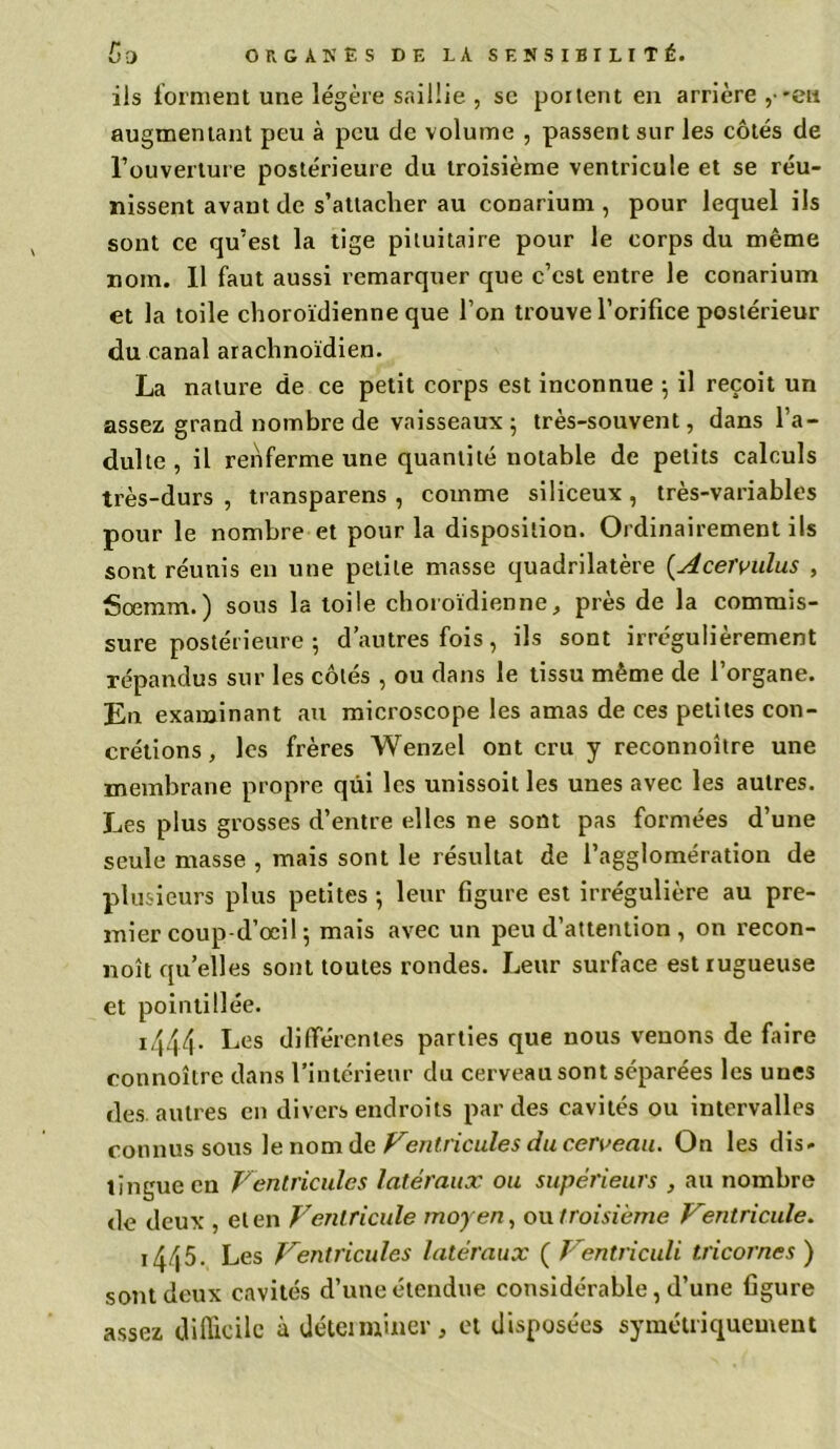 ils forment une légère saillie , se portent en arrière ,-eu augmentant peu à peu de volume , passent sur les côtés de l’ouverture postérieure du troisième ventricule et se réu- nissent avant de s’attacher au conarium, pour lequel ils sont ce qu’est la tige pituitaire pour le corps du même nom. 11 faut aussi remarquer que c’est entre le conarium et la toile choroïdienne que l’on trouve l’orifice postérieur du canal arachnoïdien. La nature de ce petit corps est inconnue ; il reçoit un assez grand nombre de vaisseaux; très-souvent, dans l’a- dulte, il renferme une quantité notable de petits calculs très-durs , transparens , comme siliceux , très-variables pour le nombre et pour la disposition. Ordinairement ils sont réunis en une petite masse quadrilatère (.Acervulus , Soemm.) sous la toile choroïdienne, près de la commis- sure postérieure ; d’autres fois, ils sont irrégulièrement répandus sur les côtés , ou dans le tissu même de l’organe. En examinant au microscope les amas de ces petites con- crétions , les frères Wenzel ont cru y reconnoître une membrane propre qüi les unissoit les unes avec les autres. Les plus grosses d’entre elles ne sont pas formées d’une seule masse , mais sont le résultat de l’agglomération de plusieurs plus petites ; leur figure est irrégulière au pre- mier coup-d’ocil ; mais avec un peu d’attention , on recon- noît qu’elles sont toutes rondes. Leur surface est rugueuse et poinlillée. 1444. Les différentes parties que nous venons de faire connoître dans l’intérieur du cerveau sont séparées les unes des. autres en divers endroits parties cavités ou intervalles connus sous le nom de Ventricules du cerveau. On les dis- tingue en Ventricules latéraux ou supérieurs , au nombre de deux , et en Ventricule moyen, ou troisième Ventricule. 1445. Les Ventricules latéraux ( Ventriculi tricornes ) sont deux cavités d’une étendue considérable, d’une figure assez difficile à déterminer, et disposées symétriquement