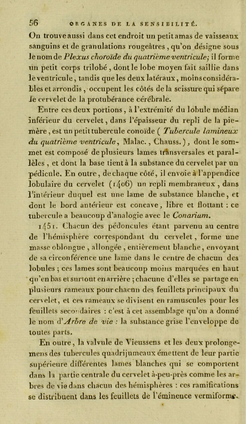 On trouve aussi dans cet endroit un petit amas de vaisseaux sanguins et de granulations rougeâtres , qu’on désigne sous Je nom de Plexus choroïde du quatrième ventricule ,• il forme un petit corps trilobé , dont le lobe moyen fait saillie dans le ventricule, tandis que les deux latéraux, moinsconsidéra- bles et arrondis , occupent les côtés de la scissure qui sépare Je cervelet de la protubérance cérébrale. Entre ces deux portions , à l’extrémité du lobule médian inférieur du cervelet, dans l’épaisseur du repli de la pie- mère , est un petit tubercule conoïde ( Tubercule lumineux du quatrième ventricule, Malac., Chauss.), dont le som- met est composé de plusieurs lames transversales et paral- lèles , et dont la base tient à la substance du cervelet par un pédicule. En outre, de chaque côté, il envoie à l’appendice lobulaire du cervelet (1406) un repli membraneux , dans l’intérieur duquel est une lame de substance blanche, et dont le bord antérieur est concave, libre et flottant : ce tubercule a beaucoup d’analogie avec le Conarium. 1451. Chacun des pédoncules étant parvenu au centre de l’hémisphère correspondant du cervelet, forme une masse oblongue , allongée , entièrement blanche, envoyant de sa circonférence une lame dans le centre de chacun des lobules ; ces lames sont beaucoup moins marquées en haut qu’en bas et surtout en arrière ; chacune d’elles se partage en plusieurs rameaux pour chacun des feuillets principaux du cervelet, et ces rameaux se divisent en ramuscules pour les feuillets secondaires : c’est à cet assemblage qu’on a donné le nom A'Arbre de vie : la substance grise l’enveloppe de toutes parts. En outre , la valvule de Yieussens et les deux prolonge- mens des tubercules quadrijumeaux émettent de leur partie supérieure différentes lames blanches qui se comportent dans la partie centrale du cervelet à-peu-près comme les ar- bres de vie dans chacun des hémisphères : ces ramifications se distribuent dans les feuillets de l’émineuce vermifornu’.