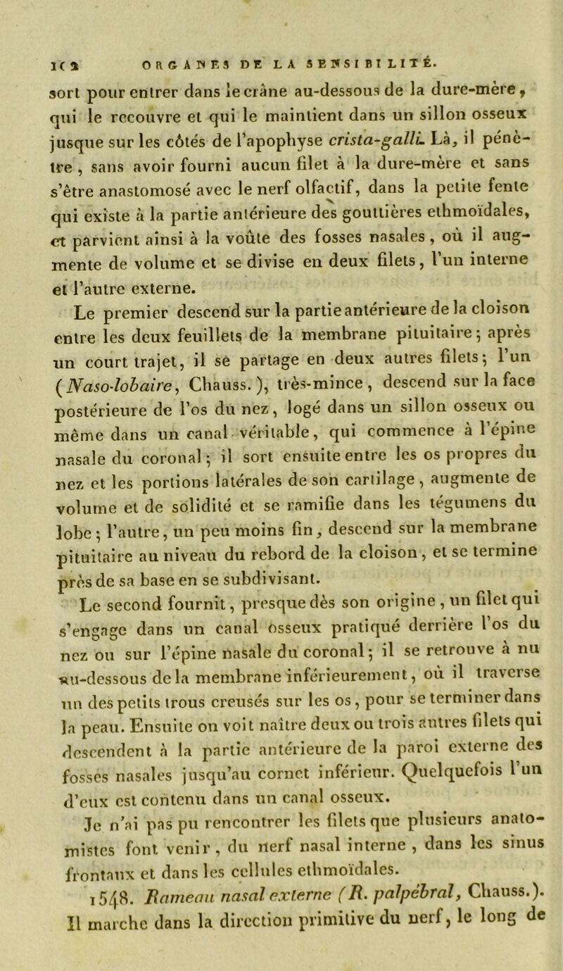 IC 4 sort pour entrer dans le crâne au-dessous de la dure-mère, qui le recouvre et qui le maintient dans un sillon osseux jusque sur les côtés de l’apophyse crista-gallL Là, il pénè- tre , sans avoir fourni aucun filet à la dure-mère et sans s’être anastomosé avec le nerf olfactif, dans la petite fente qui existe à la partie antérieure des gouttières etkmoïdales, et parvient ainsi à la voûte des fosses nasales, où il aug- mente de volume et se divise en deux filets, l’un interne et l’autre externe. Le premier descend sur la partie antérieure de la cloison entre les deux feuillets de la membrane pituitaire; après un court trajet, il se partage en deux autres filets; l’un ( Naso-lobaire, Chauss. ), très-mince , descend sur la face postérieure de l’os du nez, logé dans un sillon osseux ou même dans un canal véritable, qui commence à l’épine nasale du coronal ; il sort ensuite entre les os propres du nez et les portions latérales de son cartilage, augmente de volume et de solidité et se ramifie dans les tégumens du lobe ; l’autre, un peu moins fin, descend sur la membrane pituitaire au niveau du rebord de la cloison , et se termine près de sa base en se subdivisant. Le second fournit, presque dès son origine , un filet qui s’engage dans un canal osseux pratiqué derrière l’os du nez ou sur l’épine nasale du coronal; il se retrouve à nu nu-dessous delà membrane inférieurement, où il traverse un des petits trous creusés sur les os, pour se terminer dans la peau. Ensuite on voit naître deux ou trois autres lilels qui descendent à la partie antérieure de la paroi externe dis fosses nasales jusqu’au cornet inférieur. Quelquefois 1 un d’eux est contenu dans un canal osseux. Je n’ai pas pu rencontrer les filets que plusieurs anato- mistes font venir, du nerf nasal interne , dans les sinus frontaux et dans les cellules ethmoïdales. j 548. Hameau nasal externe (R. palpébral, Chauss.). Il marche dans la direction primitive du nerf, le long de