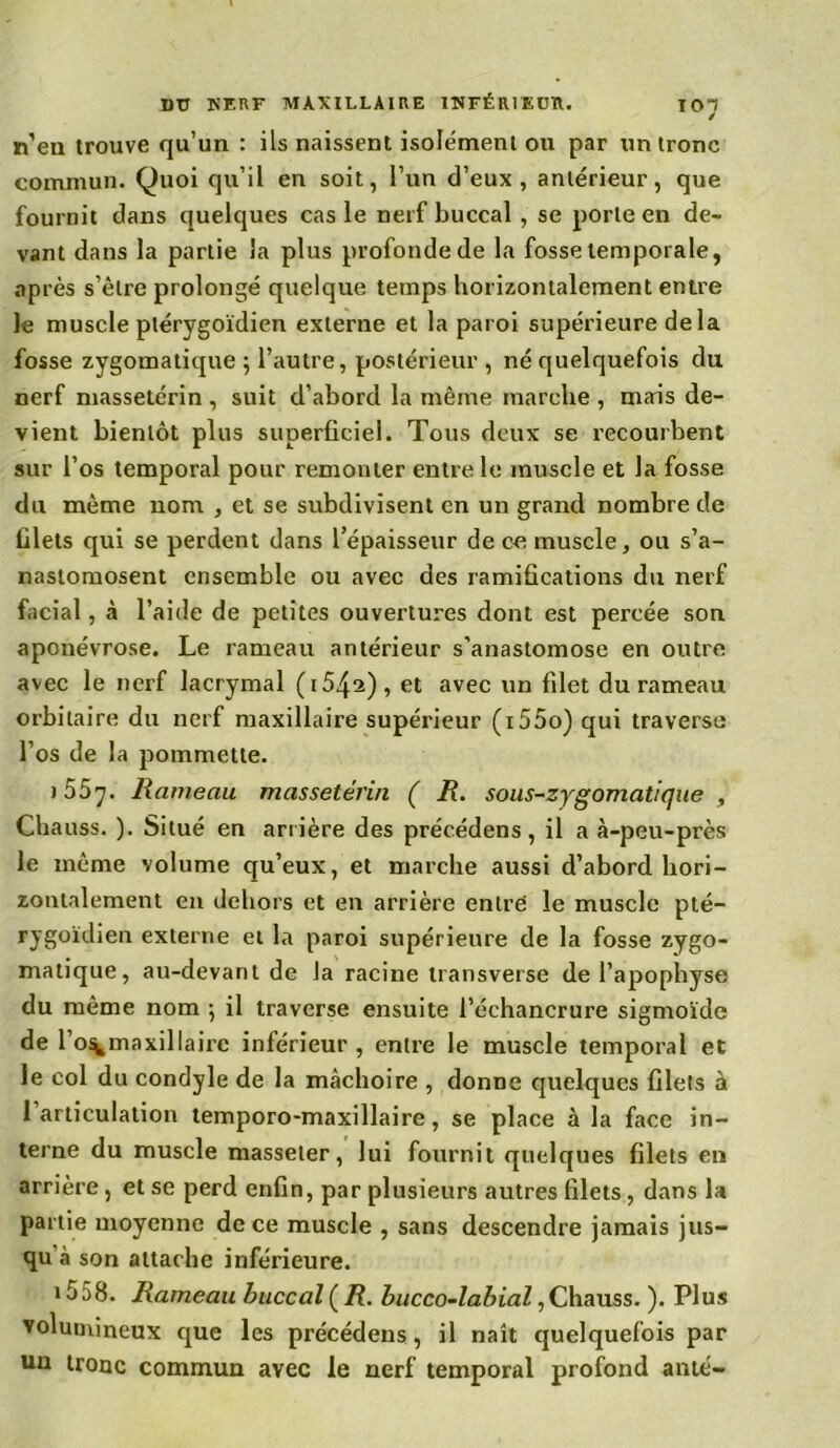 / n’en trouve qu’un : ils naissent isolément ou par un tronc commun. Quoi qu’il en soit, l’un d’eux, antérieur, que fournit dans quelques cas le nerf buccal , se porte en de- vant dans la partie la plus profonde de la fosse temporale, après s’èlre prolongé quelque temps horizontalement entre le muscle ptérygoïdien externe et la paroi supérieure delà fosse zygomatique 5 l’autre, postérieur , né quelquefois du nerf massetérin , suit d’abord la même marche , mais de- vient bientôt plus superficiel. Tous deux se recourbent sur l’os temporal pour remonter entre le muscle et la fosse du même nom , et se subdivisent en un grand nombre de filets qui se perdent dans l’épaisseur de ce muscle, ou s’a- nastomosent ensemble ou avec des ramifications du nerf facial, à l’aide de petites ouvertures dont est percée son aponévrose. Le rameau antérieur s’anastomose en outre avec le nerf lacrymal (1542), et avec un filet du rameau orbitaire du nerf maxillaire supérieur (r55o) qui traverse l’os de la pommette. 1057. Rameau massetérin ( R. sous-zygomatique , Chauss. ). Situé en arrière des précédens, il a à-peu-près le même volume qu’eux, et marche aussi d’abord hori- zontalement en dehors et en arrière entre le muscle pté- rygoïdien externe et la paroi supérieure de la fosse zygo- matique, au-devant de la racine transverse de l’apophyse du même nom ; il traverse ensuite l’échancrure sigmoïde de l’o^maxillaire inférieur , entre le muscle temporal et le col du condyle de la mâchoire , donne quelques filets à 1 articulation temporo-maxillaire, se place à la face in- terne du muscle masseter, lui fournit quelques filets en arrière, et se perd enfin, par plusieurs autres filets, dans la partie moyenne de ce muscle , sans descendre jamais jus- qu à son attache inférieure. 1558. Rameau buccal ( R. bucco-labial, Chauss. ). Plus volumineux que les précédens, il naît quelquefois par un troue commun avec le nerf temporal profond ante-