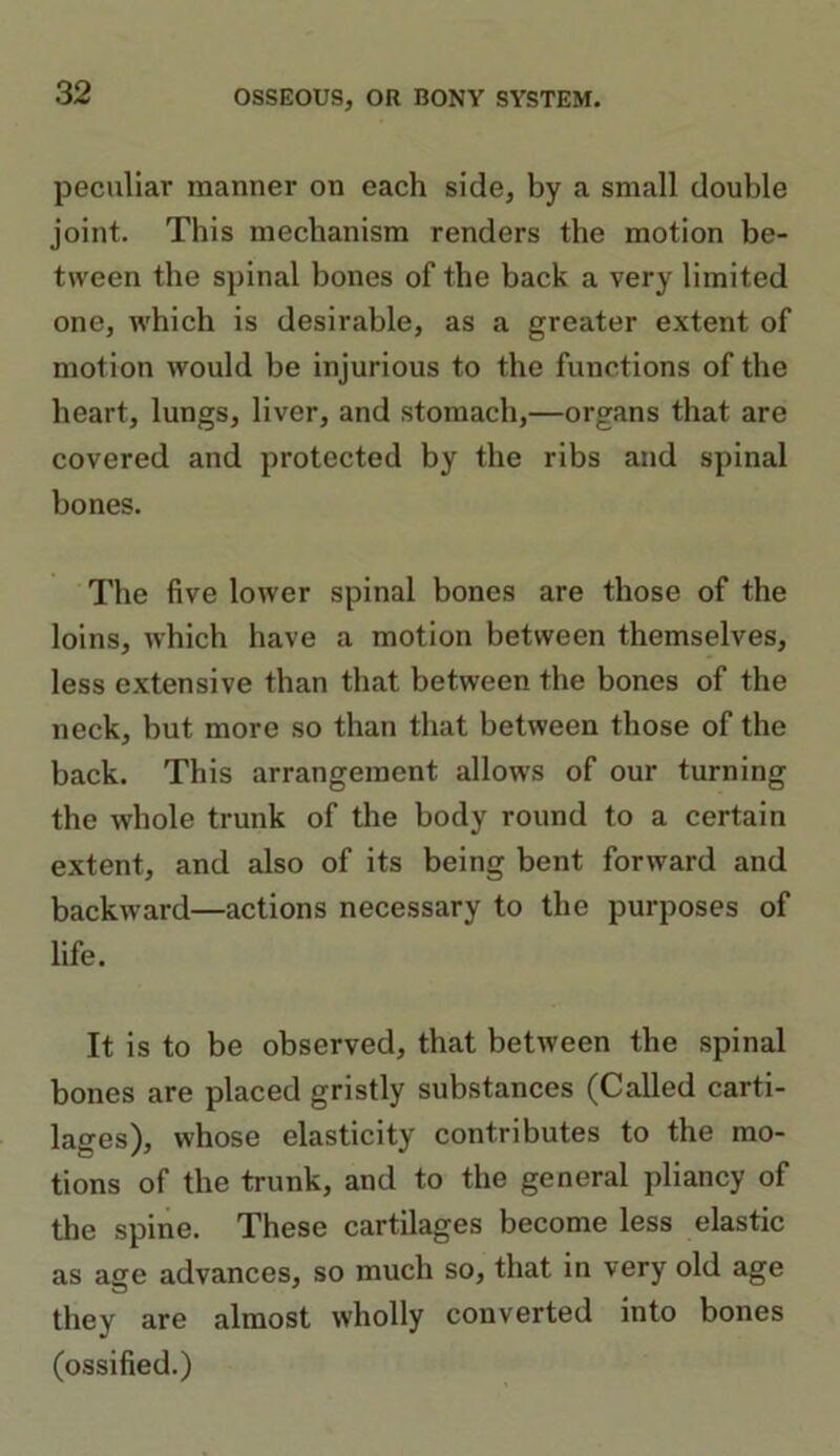 peculiar manner on each side, by a small double joint. This mechanism renders the motion be- tween the spinal bones of the back a very limited one, which is desirable, as a greater extent of motion would be injurious to the functions of the heart, lungs, liver, and stomach,—organs that are covered and protected by the ribs and spinal bones. The five lower spinal bones are those of the loins, which have a motion between themselves, less extensive than that between the bones of the neck, but more so than that between those of the back. This arrangement allows of our turning the whole trunk of the body round to a certain extent, and also of its being bent forward and backward—actions necessary to the purposes of life. It is to be observed, that between the spinal bones are placed gristly substances (Called carti- lages), whose elasticity contributes to the mo- tions of the trunk, and to the general pliancy of the spine. These cartilages become less elastic as age advances, so much so, that in very old age they are almost wholly converted into bones (ossified.)