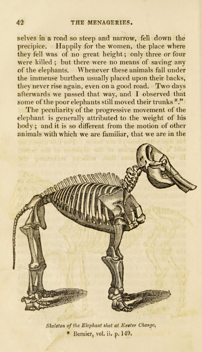 selves in a road so steep and narrow, fell down the precipice. Happily for the women, the place where they fell was of no great height; only three or four were killed ; but there were no means of saving any of the elephants. Whenever these animals fall under the immense burthen usually placed upon their backs, they never rise again, even on a good road. Two days afterwards we passed that way, and I observed that some of the poor elephants still moved their trunks*.” The peculiarity of the progressive movement of the elephant is generally attributed to the weight of his body; and it is so different from the motion of other animals with which we are familiar, that we are in the Sheloton of the Elephant shot at Exeter Change, * Bernier, vol. ii. p. 149.