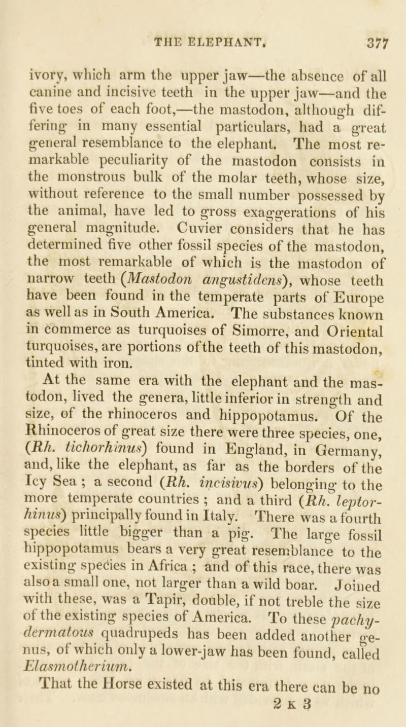 ivory, which arm the upper jaw—the absence of all canine and incisive teeth in the upper jaw—and the five toes of each foot,—the mastodon, although dif- fering m many essential particulars, had a great general resemblance to the elephant. The most re- markable peculiarity of the mastodon consists in the monstrous bulk of the molar teeth, whose size, without reference to the small number possessed by the animal, have led to gross exaggerations of his general magnitude. Cuvier considers that he has determined five other fossil species of the mastodon, the most remarkable of which is the mastodon of narrow teeth (.Mastodon angustidens'), whose teeth have been found in the temperate parts of Europe as well as in South America. The substances known in commerce as turquoises of Simorre, and Oriental turquoises, are portions of the teeth of this mastodon, tinted with iron. At the same era with the elephant and the mas- todon, lived the genera, little inferior in strength and size, of the rhinoceros and hippopotamus. Of the Rhinoceros of great size there were three species, one, (Rh. tichorhinus) found in England, in Germany, and, like the elephant, as far as the borders of the Icy Sea ; a second (Rh. incisivus) belonging to the more temperate countries ; and a third (Rh. leptor- hinus) principally found in Italy. There was a fourth species little bigger than a pig. The large fossil hippopotamus bears a very great resemblance to the existing spedies in Africa ; and of this race, there was also a small one, not larger than a wild boar. Joined with these, was a Japir, double, if not treble the size of the existing species of America. To these pachy- dermatous quadrupeds has been added another ge- nus, of which only a lower-jaw has been found, called Elasmotherium. That the Horse existed at this era there can be no