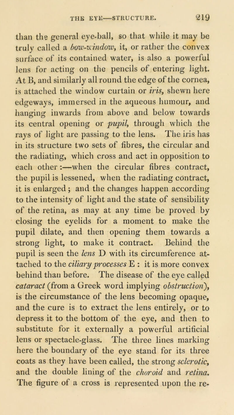 THE EYE STRUCTURE. ^219 than the general eye-ball, so that while it may be ti'Lily called a bow-idndoWy it, or rather the convex surface of its contained water, is also a powerful lens for acting on the pencils of entering light. At B, and similarly all round the edge of the cornea, is attached the window curtain or iris, shewn here edgeways, immersed in the aqueous humour, and lianirinjr inwards from above and below towards its central opening or pupil, through which the rays of light are passing to the lens. The iris has in its structure two sets of fibres, the circular and the radiating, which cross and act in opposition to each other :—when the circular fibres contract, the pupil is lessened, when the radiating contract, it is enlarged ; and the changes happen according to the intensity of light and the state of sensibility of the retina, as may at any time be proved by closing the eyelids for a moment to make the pupil dilate, and then opening them towards a strong light, to make it contract. Behind the pupil is seen the lens D with its circumference at- tached to the ciliary processes E : it is more convex behind than before. The disease of the eye called cataract (from a Greek word implying obstruction'), is the circumstance of the lens becoming opaque, and the cure is to extract the lens entirely, or to depress it to the bottom of the eye, and then to substitute for it externally a powerful artificial lens or spectacle-glass. The three lines marking here the boundary of the eye stand for its three coats as they have been called, the strong sclerotic, and the double lining of the choroid and retina. The figure of a cross is represented upon the re-