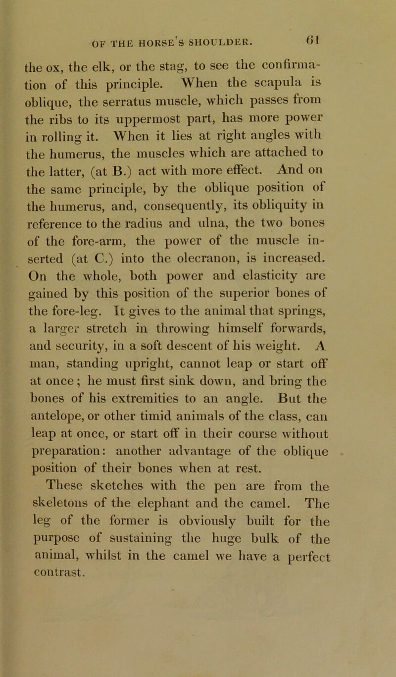 the ox, the elk, or the stag, to see the confirma- tion of this principle. When the scapula is oblique, the serratus muscle, which passes from the ribs to its uppermost part, has more power in rolling it. When it lies at right angles with the humerus, the muscles which are attached to the latter, (at B.) act with more effect. And on the same principle, by the oblique position of the humerus, and, consequently, its obliquity in reference to the radius and ulna, the two bones of the fore-arm, the power of the muscle in- serted (at C.) into the olecranon, is increased. On the whole, both power and elasticity are gained by this position of the superior bones of the fore-leg. It gives to the animal that springs, a larger stretch in throwing himself forwards, and security, in a soft descent of his weight. A man, standing upright, cannot leap or start off at once; he must first sink down, and bring the bones of his extremities to an angle. But the antelope, or other timid animals of the class, can leap at once, or start off in their course without preparation: another advantage of the oblique position of their bones when at rest. These sketches with the pen are from the skeletons of the elephant and the camel. The leg of the former is obviously built for the purpose of sustaining the huge bulk of the animal, whilst in the camel we have a perfect contrast.