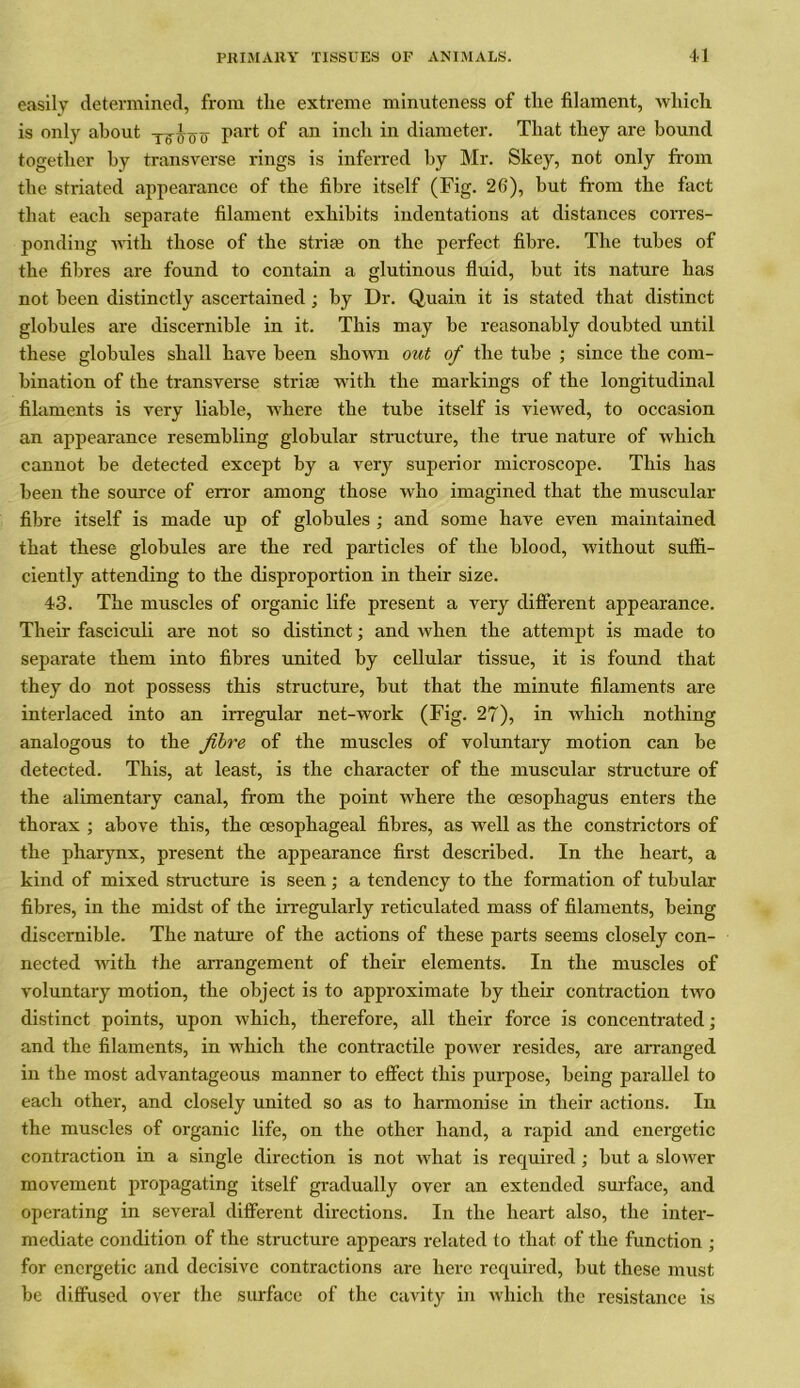 easily determined, from the extreme minuteness of the filament, which is only about T^T)-y part of an inch in diameter. That they are bound together by transverse rings is inferred by Mr. Skey, not only from the striated appearance of the fibre itself (Fig. 26), but from the fact that each separate filament exhibits indentations at distances corres- ponding with those of the stria; on the perfect fibre. The tubes of the fibres are found to contain a glutinous fluid, but its nature has not been distinctly ascertained; by Dr. Quain it is stated that distinct globules are discernible in it. This may be reasonably doubted until these globules shall have been shown out of the tube ; since the com- bination of the transverse striae with the markings of the longitudinal filaments is very liable, where the tube itself is viewed, to occasion an appearance resembling globular structure, the true nature of which cannot be detected except by a very superior microscope. This has been the source of error among those who imagined that the muscular fibre itself is made up of globules ; and some have even maintained that these globules are the red particles of the blood, without suffi- ciently attending to the disproportion in their size. 43. The muscles of organic life present a very different appearance. Their fasciculi are not so distinct; and when the attempt is made to separate them into fibres united by cellular tissue, it is found that they do not possess this structure, but that the minute filaments are interlaced into an irregular net-work (Fig. 27), in which nothing analogous to the fibre of the muscles of voluntary motion can be detected. This, at least, is the character of the muscular structure of the alimentary canal, from the point where the oesophagus enters the thorax ; above this, the oesophageal fibres, as well as the constrictors of the pharynx, present the appearance first described. In the heart, a kind of mixed structure is seen ; a tendency to the formation of tubular fibres, in the midst of the irregularly reticulated mass of filaments, being discernible. The nature of the actions of these parts seems closely con- nected with the arrangement of their elements. In the muscles of voluntary motion, the object is to approximate by their contraction two distinct points, upon which, therefore, all their force is concentrated; and the filaments, in which the contractile power resides, are arranged in the most advantageous manner to effect this purpose, being parallel to each other, and closely united so as to harmonise in their actions. In the muscles of organic life, on the other hand, a rapid and energetic contraction in a single direction is not what is required ; but a slower movement propagating itself gradually over an extended surface, and operating in several different directions. In the heart also, the inter- mediate condition of the structure appears related to that of the function ; for energetic and decisive contractions are here required, but these must be diffused over the surface of the cavity in which the resistance is