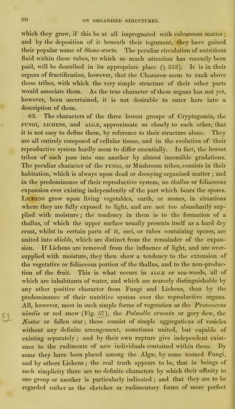 which they grow, if this he at all impregnated with calcareous matter; and by the deposition of it beneath their tegument, they have gained their popular name of Stone-worts. The peculiar circulation of nutritious fluid within these tubes, to which so much attention has recently been paid, will be described in its appropriate place (§ 353). It is in their organs of fructification, however, that the Characeas seem to rank above those tribes, with which the very simple structure of their other parts would associate them. As the true character of these organs has not yet, however, been ascertained, it is not desirable to enter here into a description of them. 63. The characters of the three lowest groups of Cryptogamia, the fungi, lichens, and ALGiE, approximate so closely to each other, that it is not easy to define them, by reference to their structure alone. They are all entirely composed of cellular tissue, and in the evolution of their reproductive system hardly seem to differ essentially. In fact, the lowest tribes of each pass into one another by almost insensible gradations. The peculiar character of the fungi, or Mushroom tribes, consists in their habitation, which is always upon dead or decaying organised matter; and in the predominance of their reproductive system, no thallus or foliaceous expansion ever existing independently of the part which bears the spores. Lichens grow upon living vegetables, earth, or stones, in situations where they are fully exposed to light, and are not too abundantly sup- plied with moisture ; the tendency in them is to the formation of a thallus, of which the upper surface usually presents itself as a hard dry crust, whilst in certain parts of it, asci, or tubes containing spores, are united into shields, which are distinct from the remainder of the expan- sion. If Lichens are removed from the influence of fight, and are over- supplied with moisture, they then show a tendency to the extension of the vegetative or foliaceous portion of the thallus, and to the non-produc- tion of the fruit. This is what occurs in alg.e or sea-weeds, all of which are inhabitants of water, and which are scarcely distinguishable by any other positive character from Fungi and Lichens, than by the predominance of their nutritive system over the reproductive organs. All, however, meet in such simple forms of vegetation as the Protococcus nivalis or red snowr (Fig. 57), the Palmella cruenta or gory dew, the Nostoc or fallen star; these consist of simple aggregations of vesicles without any definite arrangement, sometimes united, hut capable of existing separately ; and by their own rupture give independent exist- ence to the rudiments of new individuals contained within them. By some they have been placed among the Alga?, by some termed Fungi, and by others Lichens; the real truth appears to be, that in beings of such simplicity there are no definite characters by which their affinity to one group or another is particularly indicated ; and that they are to be regarded rather as the sketches or rudimentary forms of more perfect