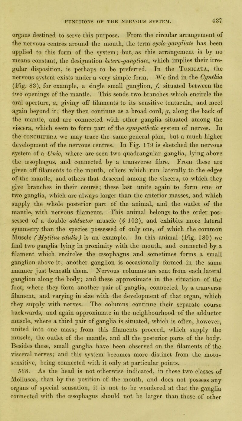 organs destined to serve this purpose. From the circular arrangement of the nervous centres around the mouth, the term cyclo-gangliate has been applied to this form of the system; but, as this arrangement is by no means constant, the designation hetero-gangliate, which implies their irre- gular disposition, is perhaps to he preferred. In the Tunicata, the nervous system exists under a very simple form. We find in the Cynthia (Fig. 83), for example, a single small ganglion, f, situated between the two openings of the mantle. This sends two branches which encircle the oral aperture, a, giving oft’ filaments to its sensitive tentacula, and meet again beyond it; they then continue as a broad cord, g, along the back of the mantle, and are connected with other ganglia situated among the viscera, which seem to form part of the sympathetic system of nerves. In the conchifera we may trace the same general plan, but a much higher development of the nervous centres. In Fig. 179 is sketched the nervous system of a Unio, where are seen two quadrangular ganglia, lying above the cesophagus, and connected by a transverse fibre. From these are given off filaments to the mouth, others which run laterally to the edges of the mantle, and others that descend among the viscera, to which they give branches in their course; these last unite again to form one or two ganglia, which are always larger than the anterior masses, and which supply the whole posterior part of the animal, and the outlet of the mantle, with nervous filaments. This animal belongs to the order pos- sessed of a double adductor muscle (§ 102), and exhibits more lateral symmetry than the species possessed of only one, of which the common Muscle (Mytilus edulis) is an example. In this animal (Fig. 180) we find two ganglia lying in proximity with the mouth, and connected by a filament which encircles the oesophagus and sometimes forms a small ganglion above it; another ganglion is occasionally formed in the same manner just beneath them. Nervous columns are sent from each lateral ganglion along the body; and these approximate in the situation of the foot, where they form another pair of ganglia, connected by a tranverse filament, and varying in size with the development of that organ, which they supply with nerves. The columns continue their separate course backwards, and again approximate in the neighbourhood of the adductor muscle, where a third pair of ganglia is situated, ivhich is often, however, united into one mass; from this filaments proceed, which supply the muscle, the outlet of the mantle, and all the posterior parts of the body. Besides these, small ganglia have been observed on the filaments of the visceral nerves; and this system becomes more distinct from the moto- sensitive, being connected with it only at particular points. 568. As the head is not otherwise indicated, in these two classes of Mollusca, than by the position of the mouth, and does not possess any organs of special sensation, it is not to be wondered at that the ganglia connected with the oesophagus should not be larger than those of other