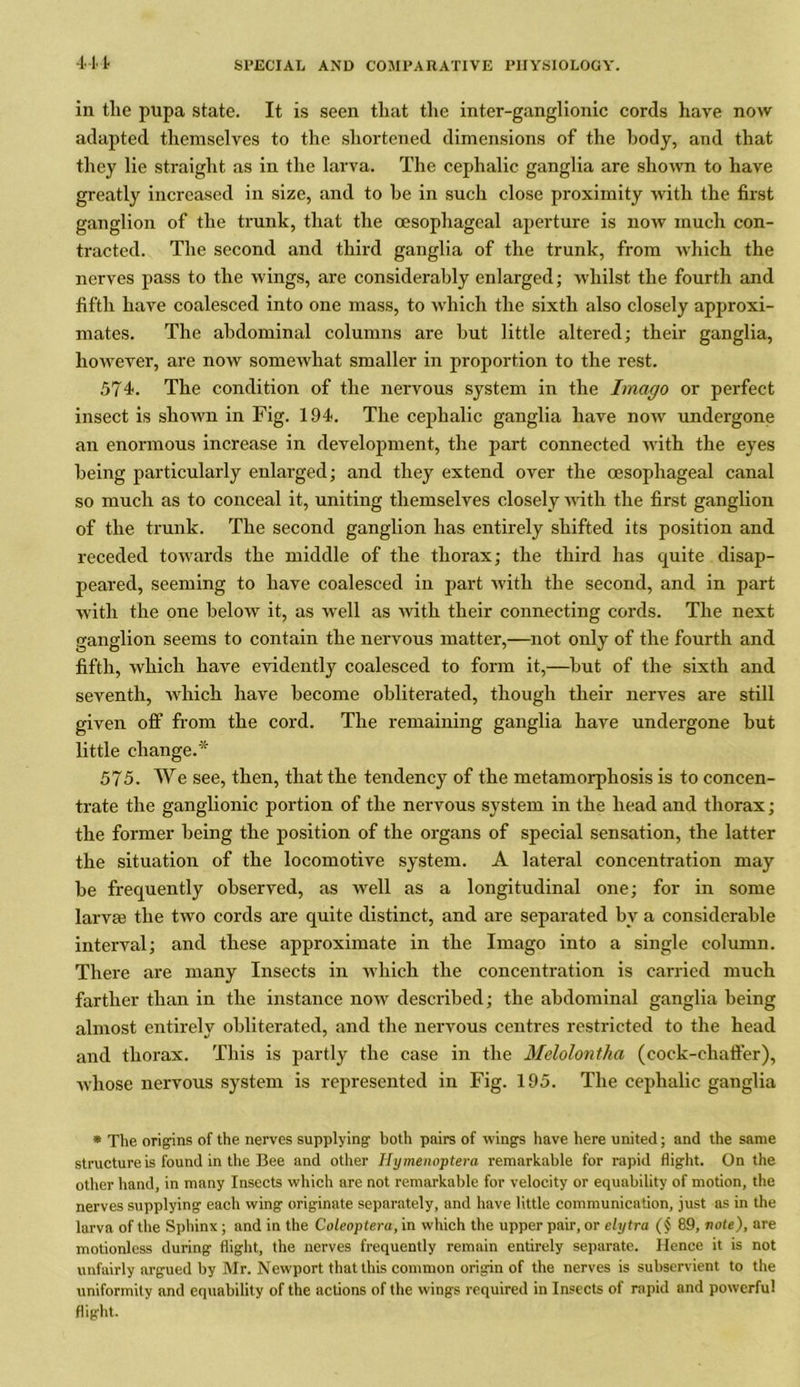 in the pupa state. It is seen that the inter-ganglionic cords have now adapted themselves to the shortened dimensions of the body, and that they lie straight as in the larva. The cephalic ganglia are shown to have greatly increased in size, and to he in such close proximity with the first ganglion of the trunk, that the oesophageal aperture is now much con- tracted. The second and third ganglia of the trunk, from which the nerves pass to the wings, are considerably enlarged; whilst the fourth and fifth have coalesced into one mass, to which the sixth also closely approxi- mates. The abdominal columns are hut little altered; their ganglia, however, are now somewhat smaller in proportion to the rest. 574. The condition of the nervous system in the Imago or perfect insect is shown in Fig. 194. The cephalic ganglia have new undergone an enormous increase in development, the part connected with the eyes being particularly enlarged; and they extend over the oesophageal canal so much as to conceal it, uniting themselves closely with the first ganglion of the trunk. The second ganglion has entirely shifted its position and receded towards the middle of the thorax; the third has quite disap- peared, seeming to have coalesced in part with the second, and in part with the one below it, as well as with their connecting cords. The next ganglion seems to contain the nervous matter,—not only of the fourth and fifth, which have evidently coalesced to form it,—but of the sixth and seventh, which have become obliterated, though their nerves are still given off from the cord. The remaining ganglia have undergone but little change.* 575. We see, then, that the tendency of the metamorphosis is to concen- trate the ganglionic portion of the nervous system in the head and thorax; the former being the position of the organs of special sensation, the latter the situation of the locomotive system. A lateral concentration may be frequently observed, as well as a longitudinal one; for in some larvae the two cords are quite distinct, and are separated by a considerable interval; and these approximate in the Imago into a single column. There are many Insects in which the concentration is carried much farther than in the instance now described; the abdominal ganglia being almost entirely obliterated, and the nervous centres restricted to the head and thorax. This is partly the case in the Mclolontha (cock-chatter), whose nervous system is represented in Fig. 195. The cephalic ganglia * The origins of the nerves supplying both pairs of wings have here united; and the same structure is found in the Bee and other Hymenoptera remarkable for rapid flight. On the other hand, in many Insects which are not remarkable for velocity or equability of motion, the nerves supplying each wing originate separately, and have little communication, just as in the larva of the Sphinx ; and in the Coleoptera, in which the upper pair, or elytra (§ 89, vote), are motionless during flight, the nerves frequently remain entirely separate. Hence it is not unfairly argued by Mr. Newport that this common origin of the nerves is subservient to the uniformity and equability of the actions of the wings required in Insects of rapid and powerful flight.