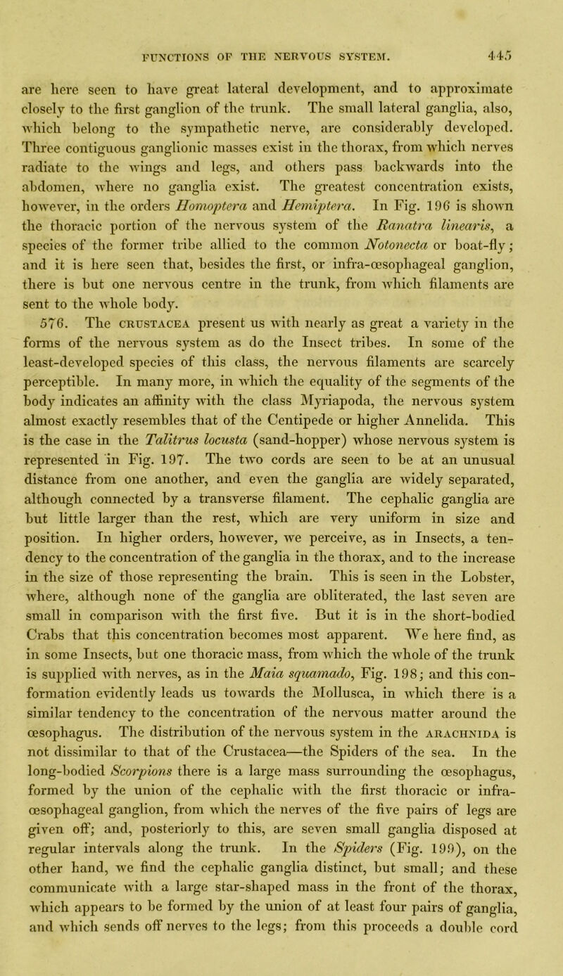 are here seen to have great lateral development, and to approximate closely to the first ganglion of the trunk. The small lateral ganglia, also, ■which belong to the sympathetic nerve, are considerably developed. Three contiguous ganglionic masses exist in the thorax, from which nerves radiate to the wings and legs, and others pass backwards into the abdomen, where no ganglia exist. The greatest concentration exists, however, in the orders Homoptera and Hemiptera. In Fig. 196 is shown the thoracic portion of the nervous system of the Ranatra linearis, a species of the former tribe allied to the common Notonecta or boat-fly ; and it is here seen that, besides the first, or infra-oesophageal ganglion, there is but one nervous centre in the trunk, from which filaments are sent to the whole body. 576. The Crustacea present us with nearly as great a variety in the forms of the nervous system as do the Insect tribes. In some of the least-developed species of this class, the nervous filaments are scarcely perceptible. In many more, in which the equality of the segments of the body indicates an affinity with the class Myriapoda, the nervous system almost exactly resembles that of the Centipede or higher Annelida. This is the case in the Talitrus locusta (sand-hopper) whose nervous system is represented in Fig. 197. The two cords are seen to be at an unusual distance from one another, and even the ganglia are widely separated, although connected by a transverse filament. The cephalic ganglia are but little larger than the rest, which are very uniform in size and position. In higher orders, however, we perceive, as in Insects, a ten- dency to the concentration of the ganglia in the thorax, and to the increase in the size of those representing the brain. This is seen in the Lobster, where, although none of the ganglia are obliterated, the last seven are small in comparison with the first five. But it is in the short-bodied Crabs that this concentration becomes most apparent. We here find, as in some Insects, but one thoracic mass, from which the whole of the trunk is supplied with nerves, as in the Main squamado, Fig. 198; and this con- formation evidently leads us towards the Mollusca, in which there is a similar tendency to the concentration of the nervous matter around the oesophagus. The distribution of the nervous system in the arachnida is not dissimilar to that of the Crustacea—the Spiders of the sea. In the long-bodied Scorpions there is a large mass surrounding the oesophagus, formed by the union of the cephalic with the first thoracic or infra- oesophageal ganglion, from which the nerves of the five pairs of legs are given off; and, posteriorly to this, are seven small ganglia disposed at regular intervals along the trunk. In the Spiders (Fig. 199), on the other hand, we find the cephalic ganglia distinct, but small; and these communicate with a large star-shaped mass in the front of the thorax, which appears to be formed by the union of at least four pairs of ganglia, and which sends off nerves to the legs; from this proceeds a double cord