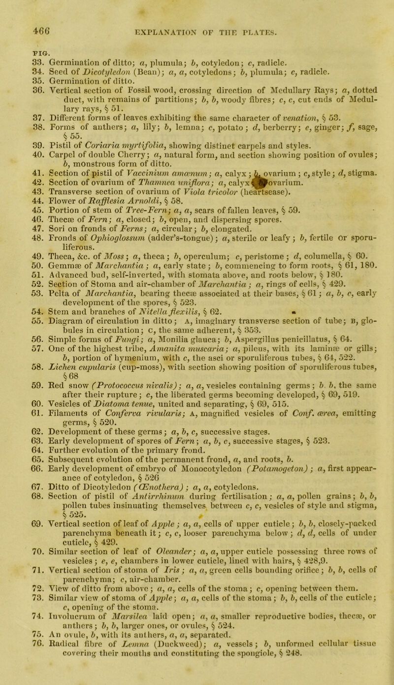 FIG. 33. Germination of ditto; a, plumula; b, cotyledon; c, radicle. 34. Seed of Dicotyledon (Bean); a, a, cotyledons; b, plumula; c, radicle. 35. Germination of ditto. 36. Vertical section of Fossil wood, crossing direction of Medullary Rays; a, dotted duct, with remains of partitions; b, b, woody fibres; c, c, cut ends of Medul- lary rays, § 51. 37. Different forms of leaves exhibiting the same character of venation, § 53. 38. Forms of anthers; a, lily; b, lemna; c, potato; d, berberry; e, ginger; f, sage, § 55. 39. Pistil of Coriaria myrtifolia, showing distinet carpels and styles. 40. Carpel of double Cherry; a, natural form, and section showing position of ovules; b, monstrous form of ditto. 41. Section of pistil of Vaccinium amcenum; a, calyx ; ^ ovarium ; c, style; d, stigma. 42. Section of ovarium of Thamnea uniflora; a, calyx■fcovarium. 43. Transverse section of ovarium of Viola tricolor (heartsease). 44. Flower of Rafflesia Arnoldi, § 58. 45. Portion of stem of Tree-Fern; a, a, scars of fallen leaves, § 59. 46. Thecae of Fern; a, closed; b, open, and dispersing spores. 47. Sori on fronds of Ferns; a, circular; b, elongated. 48. Fronds of Ophioglossum (adder’s-tongue); a, sterile or leafy; b, fertile or sporu- liferous. 49. Theca, &c. of Moss; a, theca; b, operculum; c, peristome ; d, columella, § 60. 50. Gemmae of Marchantia; a, early state; b, commencing to form roots, § 61, 180. 51. Advanced bud, self-inverted, with stomata above, and roots below, § 180. 52. Section of Stoma and air-chamber of Marchantia; a, rings of cells, § 429. 53. Pelta of Marchantia, bearing thecae associated at their bases, §61; a, b, e, early development of the spores, § 523. 54. Stem and branches of Nitella flexilis, § 62. » 55. Diagram of circulation in ditto; A, imaginary transverse section of tube; B, glo- bules in circulation; c, the same adherent, § 353. 56. Simple forms of Fungi; a, Monilia glauca; b, Aspergillus penicillatus, § 64. 57. One of the highest tribe, Amanita muscaria; a, pileus, with its laminae or gills; b, portion of hymenium, with c, the asci or sporuliferous tubes, § 64, 522. 58. Lichen cupularis (cup-moss), with section showing position of sporuliferous tubes, §68 59. Red snow (Protococcus nivalis); a, a, vesicles containing germs; b. b, the same after their rupture; c, the liberated germs becoming developed, § 69, 519. 60. Vesicles of Diatoma tenue, united and separating, § 69, 515. 61. Filaments of Conferva rivularis; A, magnified vesicles of Conf. area, emitting germs, § 520. 62. Development of these germs; a, b, c, successive stages. 63. Early development of spores of Fern; a, b, c, successive stages, § 523. 64. Further evolution of the primary frond. 65. Subsequent evolution of the permanent frond, a, and roots, b. 66. Early development of embryo of Monocotyledon (Potamogeton) ; a, first appear- ance of cotyledon, § 526 67. Ditto of Dicotyledon (GZnothera) ; a, a, cotyledons. 68. Section of pistil of Antirrhinum during fertilisation; a, a, pollen grains; b,b, pollen tubes insinuating themselves between c, c, vesicles of style and stigma, § 525. 69. Vertical section of leaf of Apple ; a, a, cells of upper cuticle; b, b, closely-packed parenchyma beneath it; c, c, looser parenchyma below; d, d, cells of under cuticle, § 429. 70. Similar section of leaf of Oleander; a, a, upper cuticle possessing three rows of vesicles; e, e, chambers in lower cuticle, lined with hairs, § 428,9. 71. Vertical section of stoma of Iris; a, a, green cells bounding orifice; b, b, cells of parenchyma; c, air-chamber. 72. View of ditto from above; a, a, cells of the stoma; c, opening between them. 73. Similar view of stoma of Apple; a, a, cells of the stoma; b, b, cells of the cuticle; c, opening of the stoma. 74. Iuvolucrum of Marsilea laid open; a, a, smaller reproductive bodies, thecae, or anthers; b, b, larger ones, or ovules, § 524. 75. An ovule, b, with its authers, a, a, separated. 76. Radical fibre of Lemna (Duckweed); a, vessels; b, unformed cellular tissue covering their mouths and constituting the spongiole, § 248.