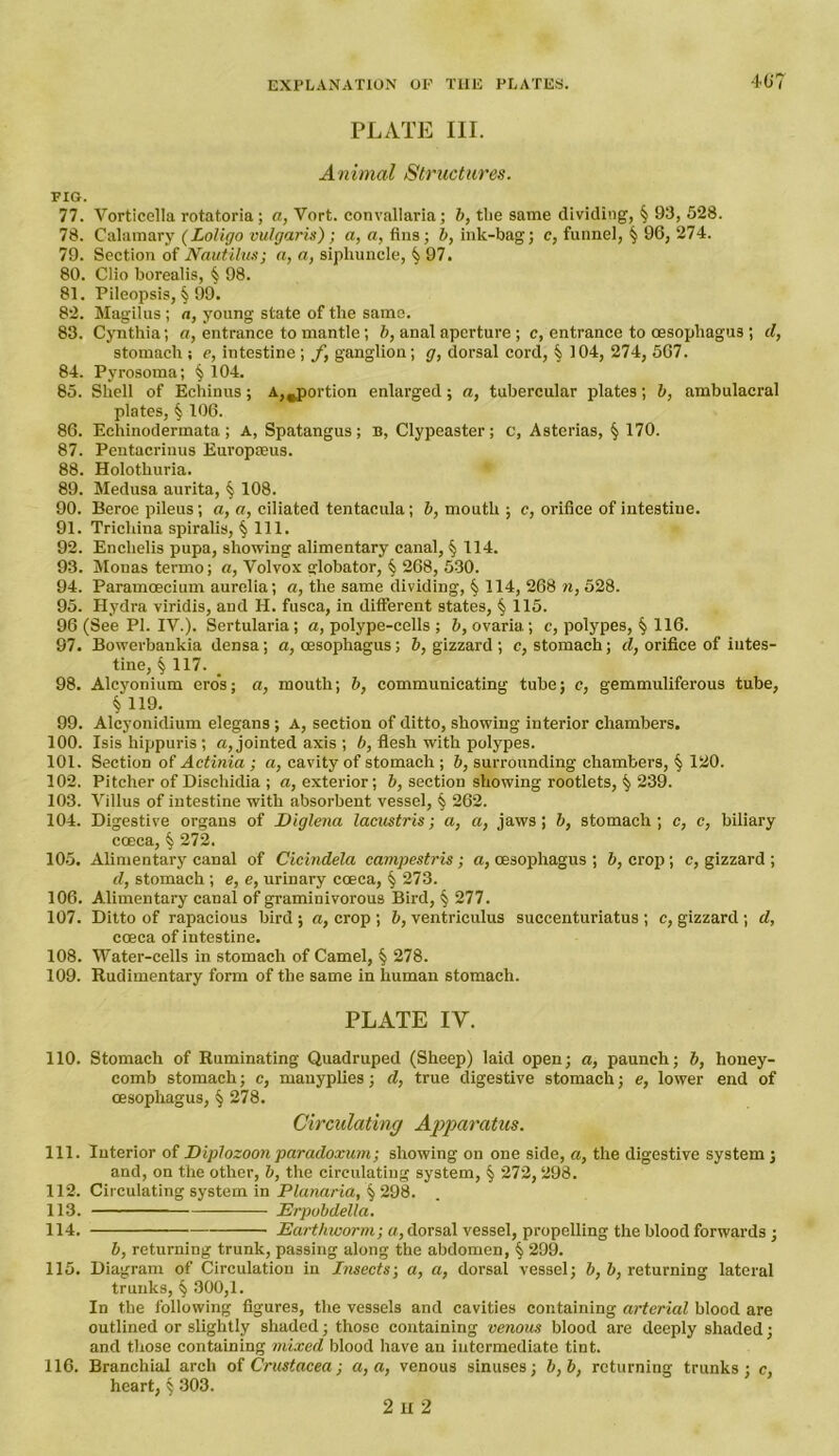 PLATE III. Animal Structures. FIG. 77. Vorticella rotatoria ; a, Vort. convallaria; b, the same dividing, § 93, 528. 78. Calamary (Loligo vulgaris); a, a, fins; b, ink-bag; c, funnel, § 96, 274. 79. Section of Nautilus; a, a, siphuncle, § 97. 80. Clio borealis, § 98. 81. Pileopsis, $ 99. 82. Magilus ; a, young state of the same. 83. Cynthia; a, entrance to mantle; b, anal aperture; c, entrance to oesophagus ; cl, stomach ; e, iutestine ; f, ganglion; g, dorsal cord, § 104, 274, 567. 84. Pyrosoma; § 104. 85. Shell of Echinus; Apportion enlarged; a, tubercular plates; b, ambulacral plates, § 106. 86. Echinodermata; A, Spatangus; B, Clypeaster; c, Asterias, § 170. 87. Pentacrinus Europseus. 88. Holothuria. 89. Medusa aurita, $ 108. 90. Beroe pileus; a, a, ciliated tentacula; b, mouth ; c, orifice of intestiue. 91. Trichina spiralis, § 111. 92. Enclielis pupa, showing alimentary canal, § 114. 93. Monas termo; a, Volvox globator, § 268, 530. 94. Paramoecium aurelia; a, the same dividing, § 114, 268 n, 528. 95. Hydra viridis, and H. fusca, in different states, § 115. 96 (See PI. IV.). Sertularia; a, polype-cells ; b, ovaria; c, polypes, § 116. 97. Bowerbankia densa; a, oesophagus; b, gizzard ; c, stomach; cl, orifice of iutes- tine, § 117. 98. Alcyonium eros; a, mouth; b, communicating tube; c, gemmuliferous tube, § 119. 99. Alcyonidium elegans ; A, section of ditto, showing interior chambers. 100. Isis hippuris ; a, jointed axis ; b, flesh with polypes. 101. Section of Actinia ; a, cavity of stomach ; b, surrounding chambers, § 120. 102. Pitcher of Dischidia ; a, exterior; b, section showing rootlets, § 239. 103. Villus of intestine with absorbent vessel, § 262. 104. Digestive organs of Diglena lacustris; a, a, jaws; b, stomach; c, c, biliary cceca, § 272. 105. Alimentary canal of Cicindela campestris; a, oesophagus ; b, crop; c, gizzard ; d, stomach ; e, e, urinary coeca, § 273. 106. Alimentary canal of graminivorous Bird, § 277. 107. Ditto of rapacious bird ; a, crop ; b, ventriculus succenturiatus ; c, gizzard ; cl, coeca of intestine. 108. Water-cells in stomach of Camel, § 278. 109. Rudimentary form of the same in human stomach. PLATE IY. 110. Stomach of Ruminating Quadruped (Sheep) laid open; a, paunch; b, honey- comb stomach; c, manyplies; cl, true digestive stomach; e, lower end of oesophagus, § 278. Circulating Apparatus. 111. Interior of Diplozoonparadoxum; showing on one side, a, the digestive system; and, on the other, b, the circulating system, § 272, 298. 112. Circulating system in Planaria, § 298. 113. Erpubdella. 114. Earthworm; a, dorsal vessel, propelling the blood forwards ; b, returning trunk, passing along the abdomen, § 299. 115. Diagram of Circulation in Insects; a, a, dorsal vessel; b, b, returning lateral trunks, § 300,1. In the following figures, the vessels and cavities containing arterial blood are outlined or slightly shaded; those containing venous blood are deeply shaded; and those containing mixed blood have an intermediate tint. 116. Branchial arch of Crustacea; a, a, venous sinuses; b,b, returning trunks; c, heart, § 303. 2 it 2