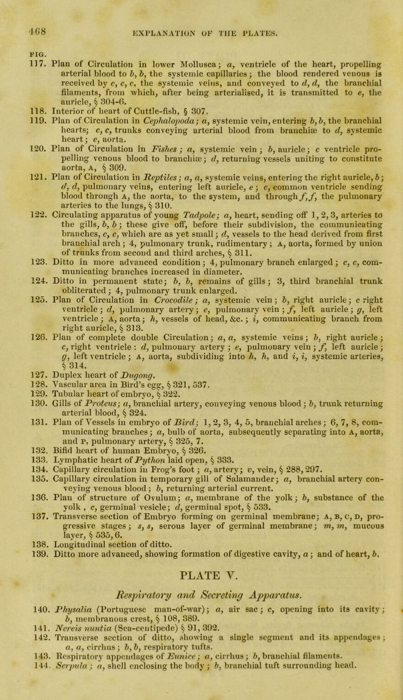 FIG. 117. Plan of Circulation in lower Mollusca; a, ventricle of the heart, propelling arterial blood to b, b, the systemic capillaries ; the blood rendered venous is received by c, c, c, the systemic veins, and conveyed to d, d, the branchial filaments, from which, after being arterialised, it is transmitted to e, the auricle, § 304-6. 118. Interior of heart of Cuttle-fish, § 307. 119. Plan of Circulation in Cephalopoda; a, systemic vein, entering b, b, the branchial hearts; c, c, trunks conveying arterial blood from branchias to d, systemic heart; e, aorta. 120. Plan of Circulation in Fishes; a, systemic vein; b, auricle; c ventricle pro- pelling venous blood to branchiae; d, returning vessels uniting to constitute aorta, A, § 309. 121. Plan of Circulation in Reptiles; a, a, systemic veins, entering the right auricle, b; d, d, pulmonary veins, entering left auricle, e ; c, common ventricle sending blood through a, the aorta, to the system, and through f,f, the pulmonary arteries to the lungs, § 310. 122. Circulating apparatus of young Tadpole; a, heart, sending off 1, 2, 3, arteries to the gills, b, b; these give off, before their subdivision, the communicating branches, c, c, which are as yet small; d, vessels to the head derived from first branchial arch; 4, pulmonary trunk, rudimentary ; A, aorta, formed by union of trunks from second and third arches, § 311. 123. Ditto in more advanced condition; 4, pulmonary branch enlarged ; c, c, com- municating branches increased in diameter. 124. Ditto in permanent state; b, b, remains of gills; 3, third branchial trunk obliterated ; 4, pulmonary trunk enlarged. 125. Plan of Circulation in Crocodile; a, systemic vein; b, right auricle; c right ventricle ; d, pulmonary artery; e, pulmonary vein ; f, left auricle ; g, left ventricle ; A, aorta; h, vessels of head, &c.; i, communicating branch from right auricle, § 313. 126. Plan of complete double Circulation; a, a, systemic veins; b, right auricle; c, right ventricle : d, pulmonary artery ; e, pulmonary vein ; f, left auricle; g, left ventricle; A, aorta, subdividing into h, h, and i, i, systemic arteries, § 314. 127. Duplex heart of JDugong. 128. Vascular area in Bird’s egg, § 321, 537. 129. Tubular heart of embryo, § 322. 130. Gills of Proteus; a, branchial artery, conveying venous blood ; b, trunk returning arterial blood, § 324. 131. Plan of Vessels in embryo of Bird; 1,2, 3, 4, 5, branchial arches ; 6, 7, 8, com- municating branches; a, bulb of aorta, subsequently separating into A, aorta, and f, pulmonary artery, § 325, 7. 132. Bifid heart of human Embryo, § 326. 133. Lymphatic heart of Python laid open, § 333. 134. Capillary circulation in Frog’s foot; a, artery; v, vein, § 288,297. 135. Capillary circulation in temporary gill of Salamander; a, branchial artery con- veying venous blood ; b, returning arterial current. 136. Plan of structure of Ovulum; a, membrane of the yolk; b, substance of the yolk , c, germinal vesicle; d, germinal spot, § 533. 137. Transverse section of Embryo forming on germinal membrane; A, B, c, D, pro- gressive stages; s, s, serous layer of germinal membrane; rn, m, mucous layer, § 535,6. 138. Longitudinal section of ditto. 139. Ditto more advanced, showing formation of digestive cavity, a; and of heart, b. PLATE Y. Respiratory and Secreting Apparatus. 140. Physalia (Portuguese man-of-war); a, air sac; c, opening into its cavity; b, membranous crest, § 108, 389. 141. Nereis nuntia (Sea-centipede) § 91, 392. 142. Transverse section of ditto, showing a single segment and its appendages; a, a, cirrhus; b, b, respiratory tufts. 143. Respiratory appendages of Eunice; a, cirrhus; b, branchial filaments. 144. Scrpula; a, shell enclosing the body ; b, branchial tuft surrounding head.