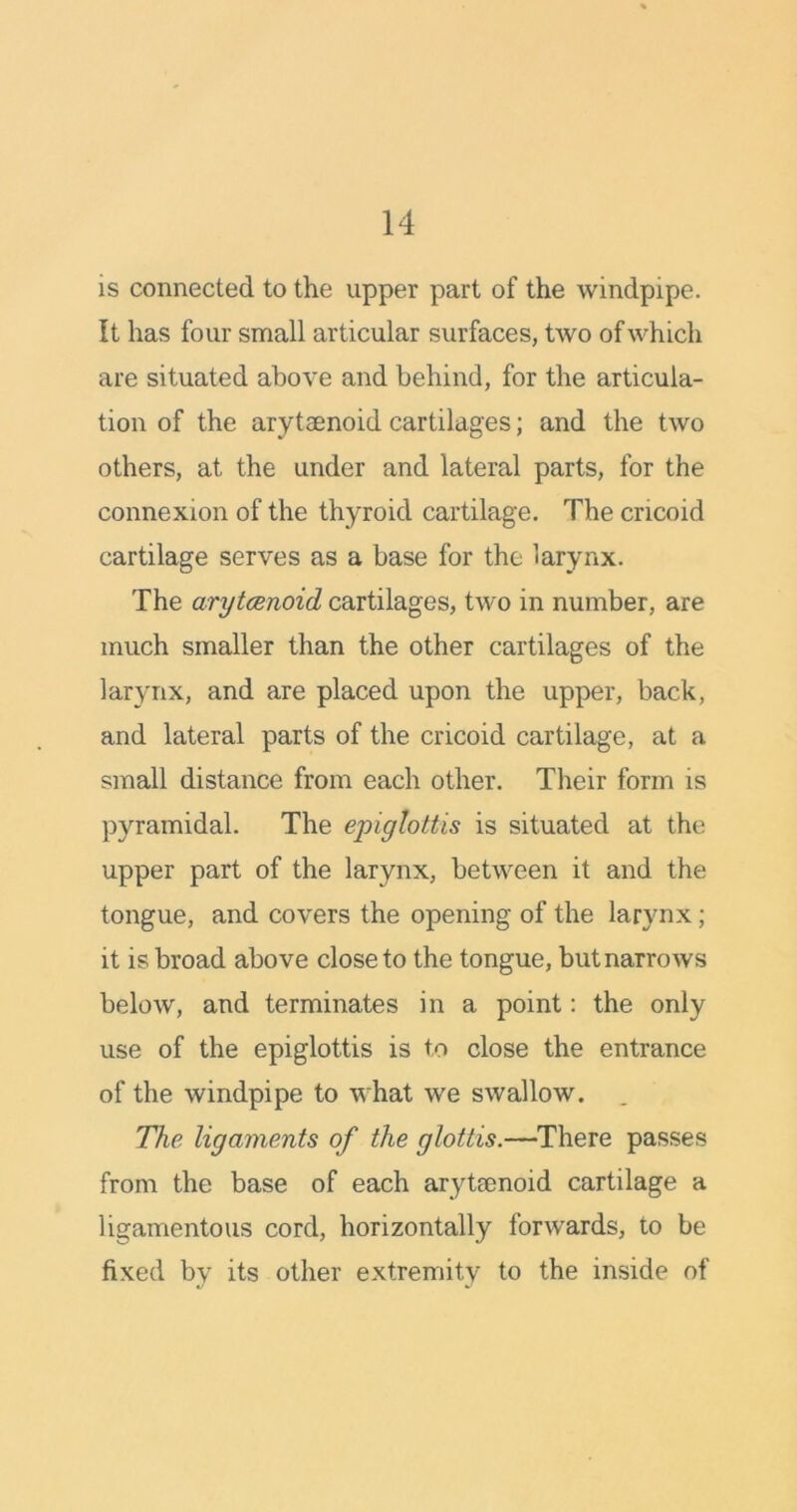 is connected to the upper part of the windpipe. It has four small articular surfaces, two of which are situated above and behind, for the articula- tion of the arytaenoid cartilages; and the two others, at the under and lateral parts, for the connexion of the thyroid cartilage. The cricoid cartilage serves as a base for the larynx. The arytcenoid cartilages, two in number, are much smaller than the other cartilages of the larynx, and are placed upon the upper, back, and lateral parts of the cricoid cartilage, at a small distance from each other. Their form is pyramidal. The epiglottis is situated at the upper part of the larynx, between it and the tongue, and covers the opening of the larynx; it is broad above close to the tongue, but narrows below, and terminates in a point: the only use of the epiglottis is to close the entrance of the windpipe to what we swallow. The ligaments of the glottis.—There passes from the base of each arytaenoid cartilage a ligamentous cord, horizontally forwards, to be fixed by its other extremity to the inside of