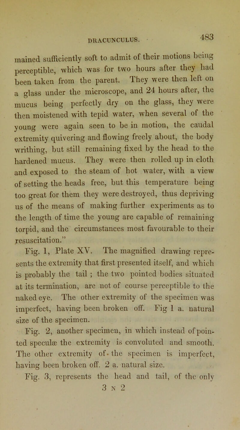 mained sufficiently soft to admit of their motions being perceptible, which was for two hours after they had been taken from the parent. They were then left on a glass under the microscope, and 24 hours after, the mucus being perfectly dry on the glass, they were then moistened with tepid water, when several of the young were again seen to be in motion, the caudal extremity quivering and flowing freely about, the body writhing, but still remaining fixed by the head to the hardened mucus. They were then rolled up in cloth and exposed to the steam of hot water, with a view of setting the heads free, but this temperature being too great for them they were destroyed, thus depriving us of the means of making further experiments as to the length of time the young are capable of remaining torpid, and the circumstances most favourable to their resuscitation.” Fig. 1, Plate XV. The magnified drawing repre- sents the extremity that first presented itself, and which is probably the tail ; the two pointed bodies situated at its termination, are not of course perceptible to the naked eye. The other extremity of the specimen was imperfect, having been broken off. Fig 1 a. natural size of the specimen. Fig. 2, another specimen, in which instead of poin- ted speculse the extremity is convoluted and smooth. The other extremity of - the specimen is imperfect, having been broken off. 2 a. natural size. Fig. 3, represents the head and tail, of the only 3 N 2