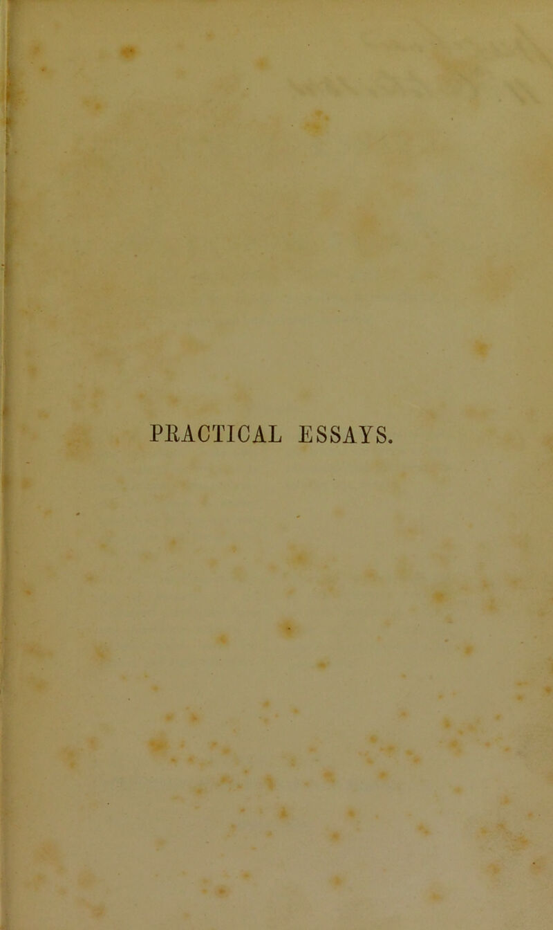 PRACTICAL ESSAYS.