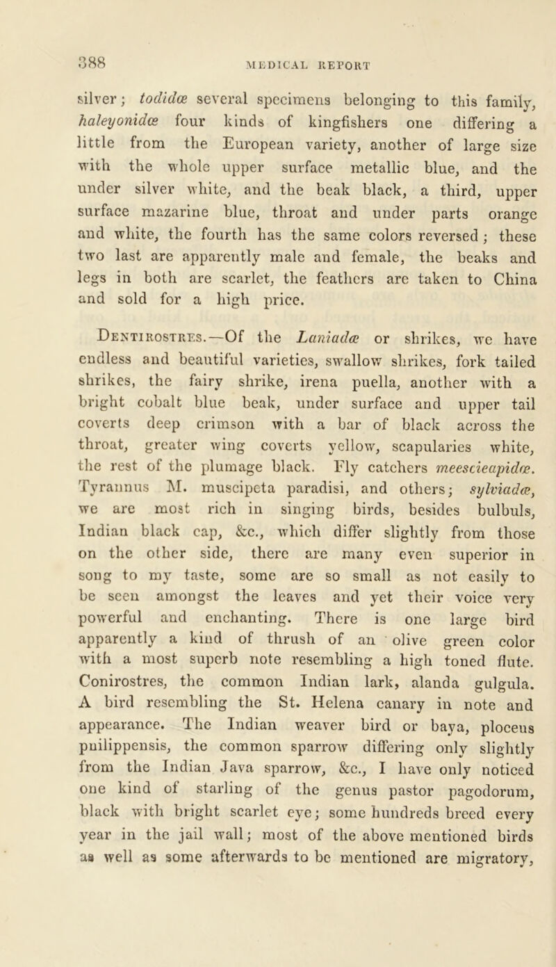 silver; todidce several specimens belonging to this family, haleyonidos four kinds of kingfishers one differing a little from the European variety, another of large size with the whole upper surface metallic blue, and the under silver white, and the beak black, a third, upper surface mazarine blue, throat and under parts orange and white, the fourth has the same colors reversed ; these two last are apparently male and female, the beaks and legs in both are scarlet, the feathers are taken to China and sold for a high price. Dentirostres.—Of the Laniadce or shrikes, we have endless and beautiful varieties, swallow shrikes, fork tailed shrikes, the fairy shrike, irena puella, another with a bright cobalt blue beak, under surface and upper tail coverts deep crimson with a bar of black across the throat, greater wing coverts yellow, scapularies white, the rest of the plumage black. Fly catchers meescieapidae. Tyrannus M. muscipeta paradisi, and others; sylvictda, we are moat rich in singing birds, besides bulbuls, Indian black cap, &c., which differ slightly from those on the other side, there are many even superior in song to my taste, some are so small as not easily to be seen amongst the leaves and yet their voice very powerful and enchanting. There is one large bird apparently a kind of thrush of an olive green color with a most superb note resembling a high toned flute. Conirostres, the common Indian lark, alanda gulgula. A bird resembling the St. Helena canary in note and appearance. The Indian weaver bird or baya, ploceus pnilippensis, the common sparrow differing only slightly from the Indian Java sparrow, &c., I have only noticed one kind of starling of the genus pastor pagodorum, black with bright scarlet eye; some hundreds breed every year in the jail wall; most of the above mentioned birds aa well as some afterwards to be mentioned are migratory,