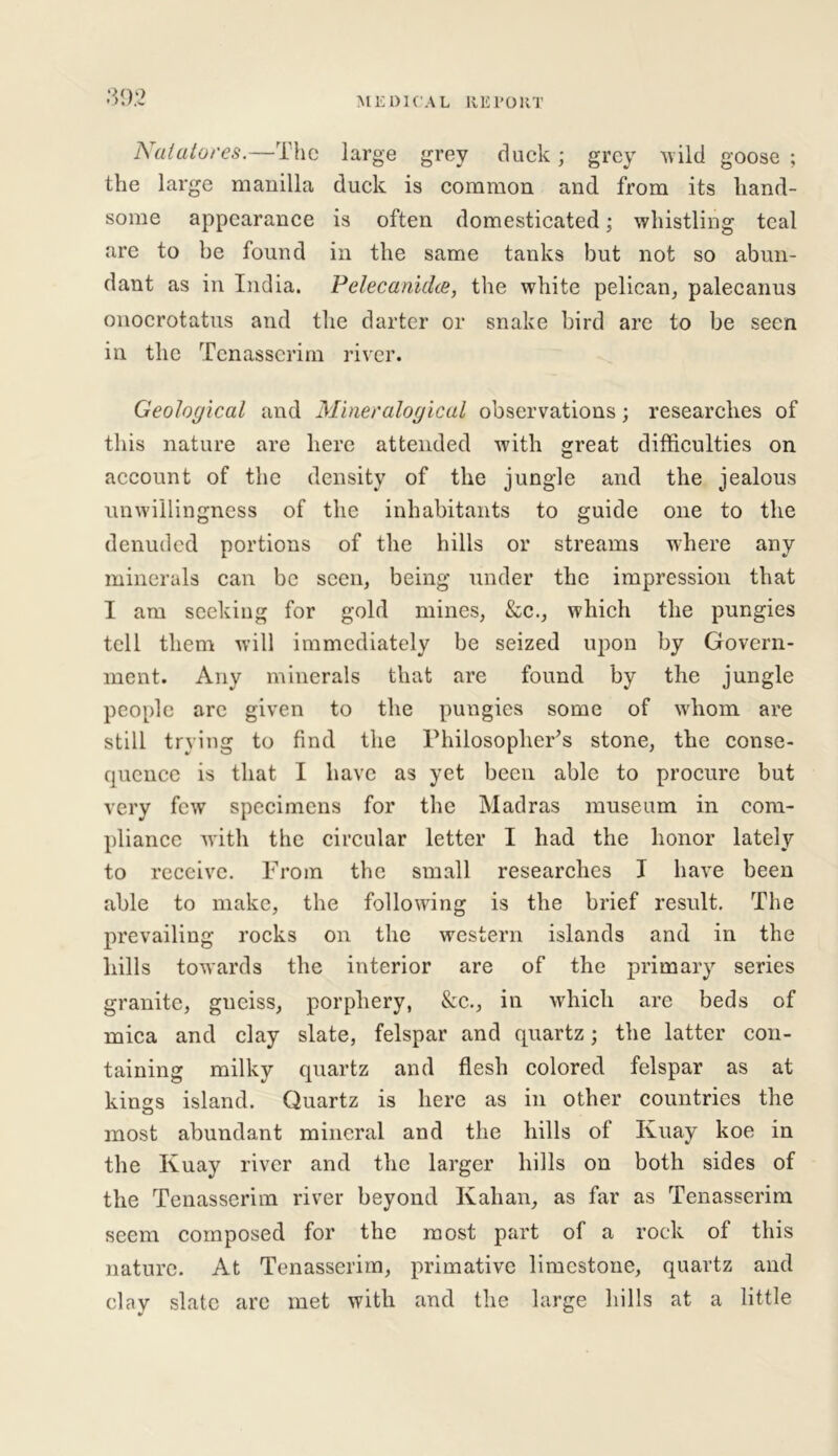 Natatores.—The large grey duck; grey M ild goose ; the large manilla duck is common and from its hand- some appearance is often domesticated; whistling teal are to be found in the same tanks but not so abun- dant as in India. Pelecanidce, the white pelican, palecanus onocrotatus and the darter or snake bird are to be seen in the Tenasserim river. Geological and Mineralogical observations; researches of this nature are here attended with great difficulties on account of the density of the jungle and the jealous unwillingness of the inhabitants to guide one to the denuded portions of the hills or streams where any minerals can be seen, being under the impression that I am seeking for gold mines, &c., which the pungies tell them will immediately be seized upon by Govern- ment. Any minerals that are found by the jungle people arc given to the pungies some of whom are still trying to find the Philosopher's stone, the conse- quence is that I have as yet been able to procure but very few specimens for the Madras museum in com- pliance with the circular letter I had the honor lately to receive. From the small researches I have been able to make, the following is the brief result. The prevailing rocks on the western islands and in the hills towards the interior are of the primary series granite, gneiss, porphery, &c., in which are beds of mica and clay slate, felspar and quartz; the latter con- taining milky quartz and flesh colored felspar as at kings island. Quartz is here as in other countries the most abundant mineral and the hills of Kuay koe in the Kuay river and the larger hills on both sides of the Tenasserim river beyond Kalian, as far as Tenasserim seem composed for the most part of a rock of this nature. At Tenasserim, primativc limestone, quartz and clay slate are met with and the large hills at a little