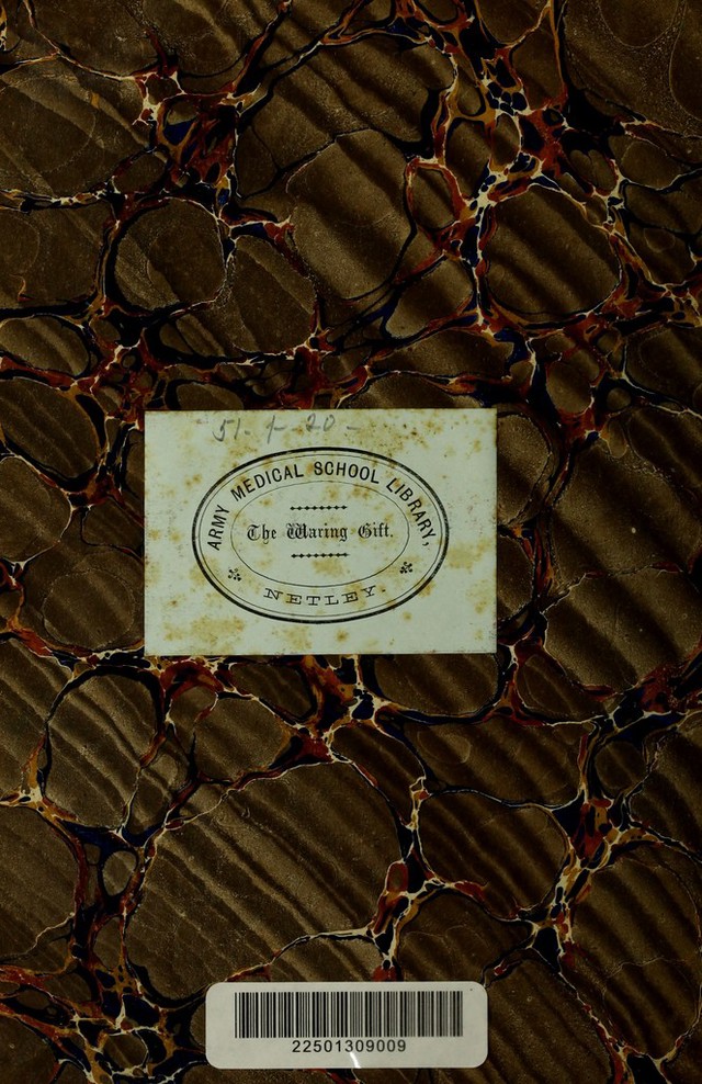digitised image 2