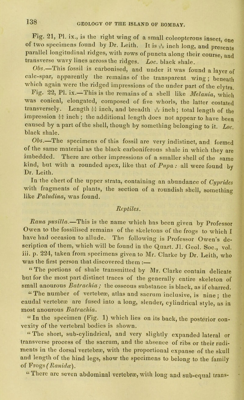 GEOLOGY OF THE ISLAND OF BOMBAY. Fig. 21, PI. ix., is the right wing of a small coleopterous insect, one of two specimens found by Dr. Leith. It is -,V inch long, and presents Parallel longitudinal ridges, with rows ofpuncta along their course, and transverse wavy lines across the ridges. Loc. black shale. Obs.— This fossil is carbonised, and under it was found a layer of calc-spar, apparently the remains of the transparent wing; beneath which again were the ridged impressions of the under part of the elytra Fig. 22, PI. ix.—This is the remains of a shell like Melania, which was conical, elongated, composed of five whorls, the latter costated transversely. Length H inch, and breadth A inch ; total length of the impression H inch : the additional length does not appear to have been caused by a part of the shell, though by something belonging to it. Loc. black shale. Obs.—The specimens of this fossil are very indistinct, and formed of the same material as the black carboniferous shale in which they are imbedded. There are other impressions of a smaller shell of the same kind, but with a rounded apex, like that of Pupa : all were found by Dr. Leith. In the chert of the upper strata, containing an abundance of Cyprides with fragments of plants, the section of a roundish shell, something like Paludina, was found. Reptiles. Rana pusilla.—This is the name which has been given by Professor Owen to the fossilised remains of the skeletons of the frogs to which I have had occasion to allude. The following is Professor Owen’s de- scription of them, which will be found in the Quart. Jl. Geol. Soc., vol. iii. p. 224, taken from specimens given to Mr. Clarke by Dr. Leith, who was the first person that discovered them :— “ The portions of shale transmitted by Mr. Clarke contain delicate but for the most part distinct traces of the generally entire skeleton of small anourous Batrachia; the osseous substance is black, as if charred. “ The number of vertebra, atlas and sacrum inclusive, is nine ; the caudal vertebra are fused into a long, slender, cylindrical style, as in most anourous Batrachia. “ In the specimen (Fig. 1) which lies on its back, the posterior con- vexity of the vertebral bodies is shown. “The short, sub-cylindrical, and very slightly expanded lateral or transverse process of the sacrum, and the absence of ribs or their rudi- ments in the dorsal vertebra, with the proportional expanse of the skull and length of the hind legs, show the specimens to belong to the family of Frogs (Ranidcc). “There arc seven abdominal vertebra, with long and sub-equal trans-