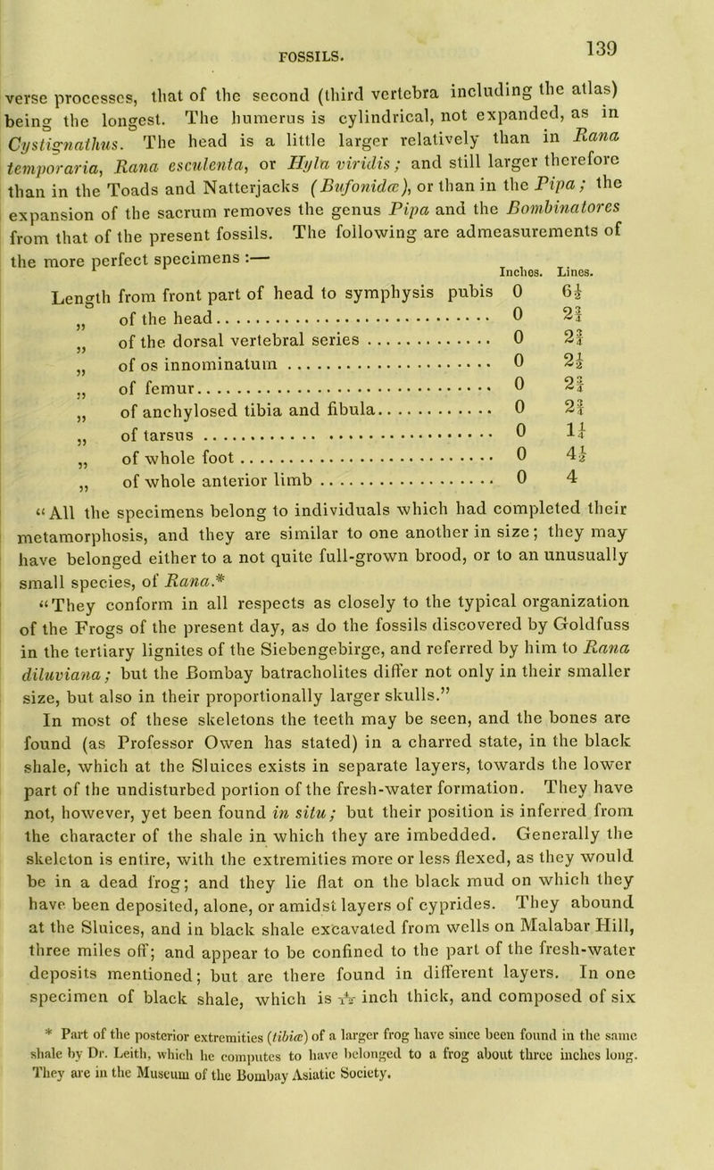 verse processes, that of the second (third vertebra including the atlas) being the longest. The humerus is cylindrical, not expanded, as in Cystignathus. The head is a little larger relatively than in Rana temporaria, Rana esculenta, or Hylu viriilis; and still larger therefore than in the Toads and Natterjacks (Bufonidcc), or than in the Pipa ; the expansion of the sacrum removes the genus Pipa and the Bombinatores from that of the present fossils. The following are admeasurements of the more perfect specimens : Inches. Lines. Length from front part of head to symphysis pubis 0 6£ of the head 0 21 of the dorsal vertebral series 0 2| of os innominatum 0 2| of femur 9 2 4 of anchylosed tibia and fibula 0 2| of tarsus 9 If of whole foot 0 4£ of whole anterior limb 0 4 u All the specimens belong to individuals which had completed their metamorphosis, and they are similar to one another in size, they may have belonged either to a not quite full-grown brood, or to an unusually small species, of Rana* “They conform in all respects as closely to the typical organization of the Frogs of the present day, as do the fossils discovered by Goldfuss in the tertiary lignites of the Siebengebirge, and referred by him to Rana diluviana; but the Bombay batracholites differ not only in their smaller size, but also in their proportionally larger skulls.” In most of these skeletons the teeth may be seen, and the bones are found (as Professor Owen has stated) in a charred state, in the black shale, which at the Sluices exists in separate layers, towards the lower part of the undisturbed portion of the fresh-water formation. They have not, however, yet been found in situ ; but their position is inferred from the character of the shale in which they are imbedded. Generally the skeleton is entire, with the extremities more or less flexed, as they would be in a dead frog; and they lie flat on the black mud on which they have, been deposited, alone, or amidst layers of cyprides. They abound at the Sluices, and in black shale excavated from wells on Malabar Hill, tnree miles off; and appear to be confined to the part of the fresh-water deposits mentioned; but are there found in different layers. In one specimen of black shale, which is tV inch thick, and composed of six * Part of the posterior extremities {tibia:) of a larger frog have since been found in the same shale by Dr. Leith, which he computes to have belonged to a frog about throe inches long. They are in the Museum of the Bombay Asiatic Society.