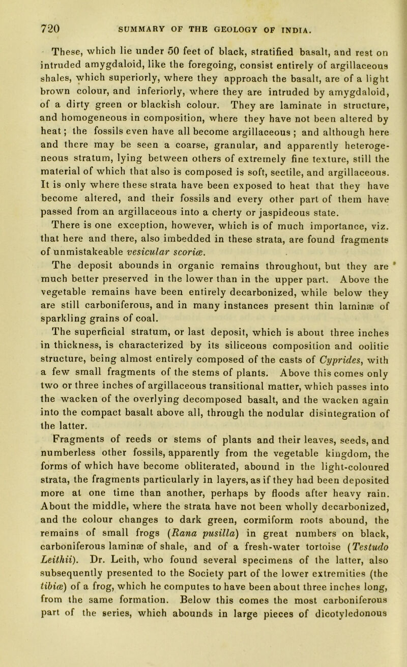 Th ese, which lie under 50 feet of black, stratified basalt, and rest on intruded amygdaloid, like the foregoing, consist entirely of argillaceous shales, which superiorly, where they approach the basalt, are of a light brown colour, and inferiorly, where they are intruded by amygdaloid, of a dirty green or blackish colour. They are laminate in structure, and homogeneous in composition, where they have not been altered by heat; the fossils even have all become argillaceous ; and although here and there may be seen a coarse, granular, and apparently heteroge- neous stratum, lying between others of extremely fine texture, still the material of which that also is composed is soft, sectile, and argillaceous. It is only where these strata have been exposed to heat that they have become altered, and their fossils and every other part of them have passed from an argillaceous into a cherty or jaspideous state. There is one exception, however, which is of much importance, viz. that here and there, also imbedded in these strata, are found fragments of unmistakeable vesicular scoriae. The deposit abounds in organic remains throughout, but they are ' much better preserved in the lower than in the upper part. Above the vegetable remains have been entirely decarbonized, while below they are still carboniferous, and in many instances present thin laminae of sparkling grains of coal. The superficial stratum, or last deposit, which is about three inches in thickness, is characterized by its siliceous composition and oolitic structure, being almost entirely composed of the casts of Cyprides, with a few small fragments of the stems of plants. Above this comes only two or three inches of argillaceous transitional matter, which passes into the w'acken of the overlying decomposed basalt, and the wacken again into the compact basalt above all, through the nodular disintegration of the latter. Fragments of reeds or stems of plants and their leaves, seeds, and numberless other fossils, apparently from the vegetable kingdom, the forms of which have become obliterated, abound in the light-coloured strata, the fragments particularly in layers, as if they had been deposited more at one time than another, perhaps by floods after heavy rain. About the middle, where the strata have not been wholly decarbonized, and the colour changes to dark green, cormiform roots abound, the remains of small frogs (Rana pusilla) in great numbers on black, carboniferous laminse of shale, and of a fresh-water tortoise (Testudo Leithii). Dr. Leith, who found several specimens of the latter, also subsequently presented to the Society part of the lower extremities (the tibiae) of a frog, which he computes to have been about three inches long, from the same formation. Below this comes the most carboniferous part of the series, which abounds in large pieces of dicotyledonous