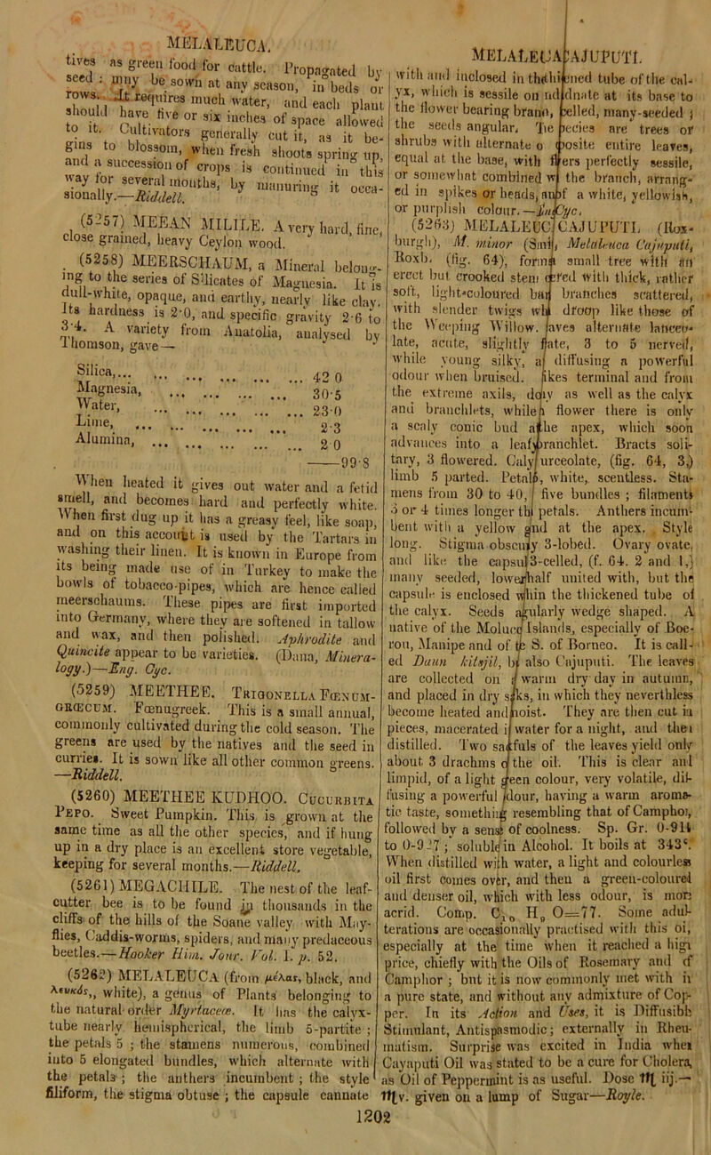 MELALEUCA. tives as green food for cattle. Propagated by rowJ Tr — 80mi at,an‘V SC!l30n’ in be(ls or Toui 1 f T™ “Uch water> and each plant should have five or s,x inches of space allowed Cultivators generally cut it, as it be- to it. 2 6 to analysed by 42 0 30-5 230 23 2 0 gins to blossom, when fresh shoots spring up, wav for11006881? °f Cr°pS ‘S co,ltil>ued i,i this ^r.-Srhfli by st «*■- (5-57) MEEA.N MIL1LE, A very hard line, close grained, heavy Ceylon wood. ' . MEERSCHAUM, a Mineral belon-- ing to the series of SUicates of Magnesia. It s dull-white, opaque, and earthy, nearly like clay. Its hardness is 2'0, and specific gravity  3'4. A variety from Anatolia, ihomson, gave — Silica, Magnesia, Water, . *  Lime, ... Alumina, 99-8 When heated it gives out water and a fetid smell, and becomes hard and perfectly white. W hen first dug up it has a greasy feel, like soap, and on this account is used by the Tartars in washing their linen. It is known in Europe from its being made use of in Turkey to make the bowls of tobacco-pipes, which are hence called meerschaums. These pipes are first imported into Germany, where they are softened in tallow and wax, and then polished. Aphrodite and Quincite appear to be varieties. (Dana, Miuera- togy.)—Eng. Cyc. (5259) MEETHEE. Tkigonella Eosnum- gbcecum. Foenugreek. This is a small annual, commonly cultivated during the cold season. The greens are used by the natives and the seed in curries. It is sown like all other common greens. —Hidden. (5260)^ MEETHEE KUDHOO. Cucurbita Pepo. Sweet Pumpkin. This is grown at the same time as all the other species, and if hung up in a dry place is an excellent store vegetable, keeping for several months.—Riddell. (5261) MEGACHILE. The nest of the leaf- cutter bee is to be found j^i thousands in the cliffs of the hills of the Soane valley with May- flies, Caddis-worms, spiders, and many predaceous beetles.—Hooker Him. Jour. Fol. I. p. 52. (5262) MELALEUCA (from pt\as, black, and Awhite), a genus of Plants belonging to the natural-order Myrtaceoe. It has the calvx- tube nearly hemispherical, the limb 5-partite ; the petals 5 ; the stamens numerous, combined into 5 elongated bundles, which alternate with the petals ; the anthers incumbent ; the style filiform, the stigma obtuse ; the capsule cannate MELALEUA 3AJUEUTI. with and inclosed in thethi med tube of the cal- yx, which is sessile on rid tlnate at its base to the flower bearing brand, jelled, many-seeded j the seeds angular. Tie lecies are trees of shrubs with alternate o oosite entire leaves, equal at the base, with tilers perfectly sessile, or somewhat combined wl the branch, arrang- ed in spikes or heads, nnpf a white, yellowish, or purplish colour.—iujCtyc, (5263) M ELALE UC | C AJ U PUT I, (Itox- burgli), M. minor (Smi, Metal,-uca Cajuputi, Eoxb, (fig. 64), forma small tree with fill erect but crooked stem erted with thick, rather soft,, light-coloured bai branches scattered, with slender twigs wla droop like those of the Weeping Willow, javes alternate lanceo- late, acute, slightly while young silky, odour when bruised, the extreme axils, d and branchlets, while a scaly conic bud a advances into a leaf’ [fate, 3 to diffusing 5 nerved, a powerful kes terminal and from nv as well as the calyx flower there is only die apex, which soon iranchlet. Bracts soli- tary, 3 flowered. Calyfurceolnte, (fig. 64, 3,) limb 5 parted. Petalo, white, scentless. Sta- mens from 30 to 40,1 five bundles ; filaments o or 4 times longer thl petals. Anthers incum- bent with a Ion; and many seeded, low capsuU is enclosed the calyx. Seeds native of the Molue rou, Manipe and of ed J)uun kilsjil, b are collected on and placed in dry s become heated and pieces, macerated i 1202 yellow gml at the apex. Style Stigma obscuiy 3-lobed. Ovary ovate, like the capsu|3-celled, (f. 64. 2 and l,j half united with, but the lin the thickened tube of ;ularly wedge shaped. A Islands, especially of Boe- S. of Borneo. It is calD also Cajuputi. The leaves warm dry day in autumn, :s, in which they neverthless ,oist. They are then cut ia water for a night, aiul the i distilled. Two sacfuls of the leaves yield only about 3 drachms c the oil. This is clear anl limpid, of a light deen colour, very volatile, dif- fusing a powerful /dour, having a warm aroma- tic taste, sometime resembling that of Camphor, followed by a sens! of coolness. Sp. Gr. 0-911 to 0-927 ; soluble1 in Alcohol. It boils at 343'. When distilled with water, a light and colourless oil first comes over, and then a green-eolourei and denser oil, which with less odour, is mon acrid. Comp. C10 HB 0=77. Some adul- terations are occasionally practised with this oi, especially at the time when it reached a liigi price, chiefly with the Oils of Rosemary and (f Camphor ; bnt it is now commonly met with ii a pure state, and without any admixture of Cop- per. In its Action and Uses, it is Diffusibh Stimulant, Antispasmodic; externally in Rheu- matism. Surprise was excited in India whel Cayaputi Oil was stated to be a cure for Cholera, as Oil of Peppermint is as useful. Dose tty iij. —■ Ityv. given on a lump of Sugar—Royle.