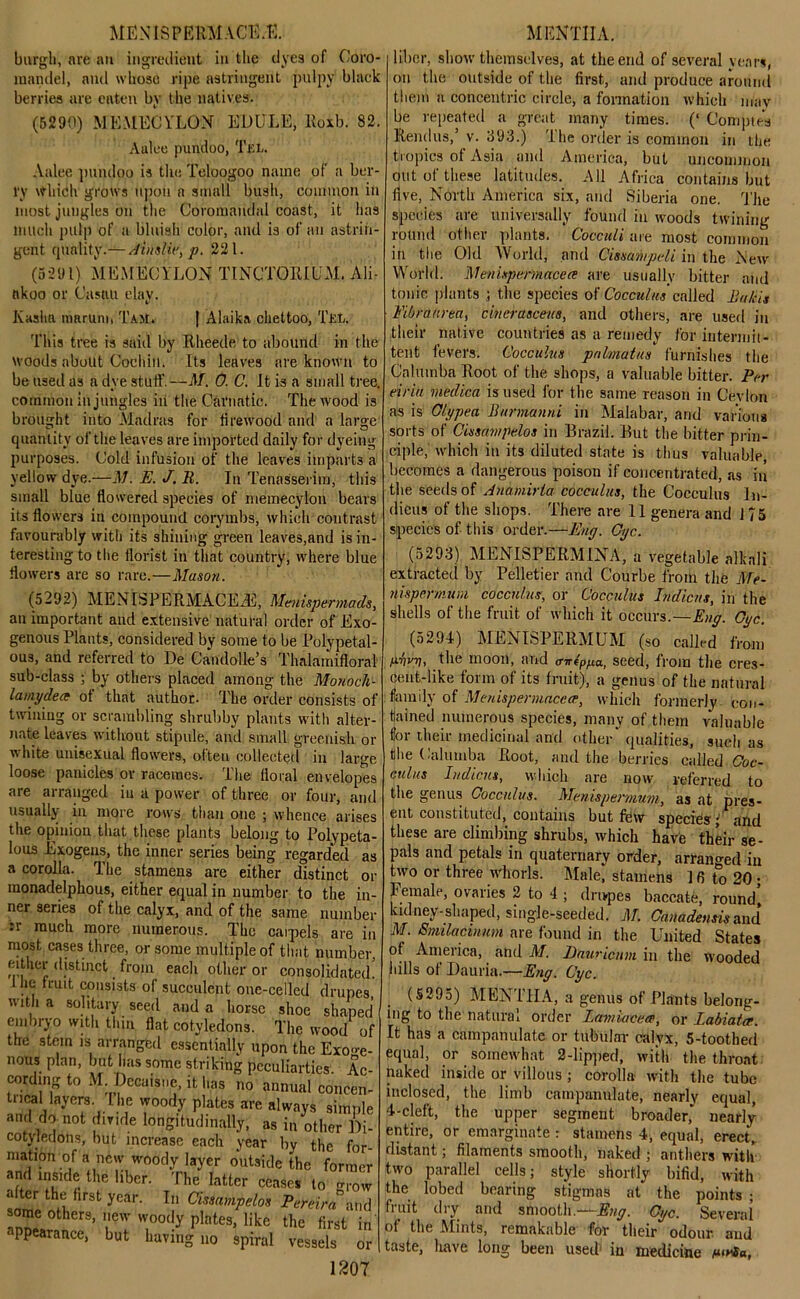 MENtfiPEllMACE.E. MENTIIA. burgh, are an ingredient in the dyes of Coro- mandel, and whose ripe astringent pulpy black berries are eaten by the natives. (5290) MEMECY'LON EDULE, Roxb. 82. Aalee pundoo, TiSL. Aalee pundoo is the Teloogoo name of a ber- ry which grows upon a small bush, common in most jungles on the Cororaaudal coast, it has much pulp of a bluish color, and is of an astrin- gent quality.— A in she, p. 221. (5291) MEMECY'LON TINCTORIUM. Ali- nkoo or Casnu elav. v Kasha nmrum, Tam. | Alaika chettoo, TfiL. This tree is said by Rheede to abound in the woods about Cochin. Its leaves are known to be used as a dye stuff.—M. 0. C. It is a small tree, common in jungles in the Carnatic. The wood is brought into Madras for firewood and a large quantity of the leaves are imported daily for dyeing purposes. Cold infusion of the leaves imparts a yellow dye.—M. E. J. R. In Tenasserira, this small blue flowered species of niemecylon bears its flowers in compound corymbs, which contrast favourably with its shining green leaves,and is in- teresting to the florist in that country, where blue flowers are so rare.—Mason. (5292) MENISPERMACE2E, Menispermads, au important and extensive natural order of Exo- genous Plants, considered by some to be Polypetal- ous, and referred to De Candolle’s Thalamifloral sub-class ; by others placed among the Monocli- lamydece ot that author. The order consists ol twining or scrambling shrubby plants with alter- nate leaves without stipule, and small greenish oi white unisexual flowers, often collected in large loose panicles or racemes. The floral envelopes are arranged in a power of three or four, and usually in more rows than one ; whence arises the opinion that these plants belong to Polypeta- lous Exogens, the inner series being regarded as a corolla. The stamens are either distinct oi raonadelphous, either equal in number to the in- ner series of the calyx, and of the same number :r much more numerous. The carpels are in most cases three, or some multiple of that number, either distinct from each other or consolidated I he fruit consists of succulent one-celled drupes with a solitary seed and a horse shoe shaped embryo with thin flat cotyledons. The wood of the stem is arranged essentially upon the Exoge- nous plan, but has some striking peculiarties. Ac- cording to M Decaisne, it has no annual concen- tncal layers. I he woody plates are always simple and do not divide longitudinally, as in other Di- cotyledons, but increase each year by the for- mation of a new woody layer outside the former and inside the liber. The latter ceases to grow some oth StyCa1'- T!‘ CissamPelos Pereira and some others, new woody plates, like the first in appearance, but having no spiral vessels or 1207 liber, show themselves, at the end of several years, oil the outside of the first, and produce around them a concentric circle, a formation which may be repeated a great many times. (‘ Compies Rendus,’ v. 393.) The order is common in the tropics of Asia and America, but uncommon out of these latitudes. All Africa contains but five, North America six, and Siberia one. Tile species are universally found in woods twining round other plants. Cocculi are most common in the Old World, and Cissampeli in the New World. Menispmnacece are usually bitter and tonic plants ; the species of Cocculus called Raids Eibraurea, cincrasceus, and others, are used in their native countries as a remedy for iutermii- tent fevers. Cocculus pnlmatus furnishes the Calumba Root of the shops, a valuable bitter. Per eiria meclica is used for the same reason in Cevlon as is Clypea Burmanni in Malabar, and various sorts of Cissampdos in Brazil. But the bitter prin- ciple, which in its diluted state is thus valuable, becomes a dangerous poison if concentrated, as in the seeds of Anamirla cocculus, the Cocculus In- dicus of the shops. There are 11 genera and J 75 species of this order.—Eng. Cgc. (5293) MENISPERM IN A, a vegetable alkali extracted by Pelletier and Courbe from the Me- nispermum cocculus, or Cocculus Indicns, in the shells of the fruit of which it occurs.—Eng. Cgc. (5291) MENIbPERMUM (so called from pnvr], the moon, and a-n-lppa, seed, from the cres- cent-like form of its fruit), a genus of the natural family of Menisperinace.ee, which formerly con- tained numerous species, many of them valuable for their medicinal and other* qualities, such as the Calumba Root, and the berries called Coc- culus Indicns, which are now referred to the genus Cocculus. Menispermum, as at pres- ent constituted, contains but few species^ and these are climbing shrubs, which have their se- pals and petals in quaternary order, arranged in two or three whorls. Male! stamens J 6 to 20 • Female, ovaries 2 to 4 ; drupes baccate, round’ kidney-shaped, single-seeded. M. Canadensis and M. Smilacinum are found in the United States of America, and M. Dnuricum in the wooded hills of Dauria.—Eng. Cgc. . (5295) MENTHA, a genus of Plants belong- ing to the natural order Eamiacew, or Labiatce. It has a campanulate or tubular calyx, 5-toothed equal, or somewhat 2-lipped, with the throat naked inside or villous; corolla with the tube inclosed, the limb campanulate, nearly equal, 4-cleft, the upper segment broader, nearly entire, or emarginate : stamens 4, equal, erect, distant; filaments smooth, naked ; anthers with two parallel cells; style shortly bifid, with the lobed bearing stigmas at the points ; fi 'iit cl i y and smooth.——Eng. Cgc. Several ol the Mints, remaknble for their odour and taste, leave long been used) in medicine